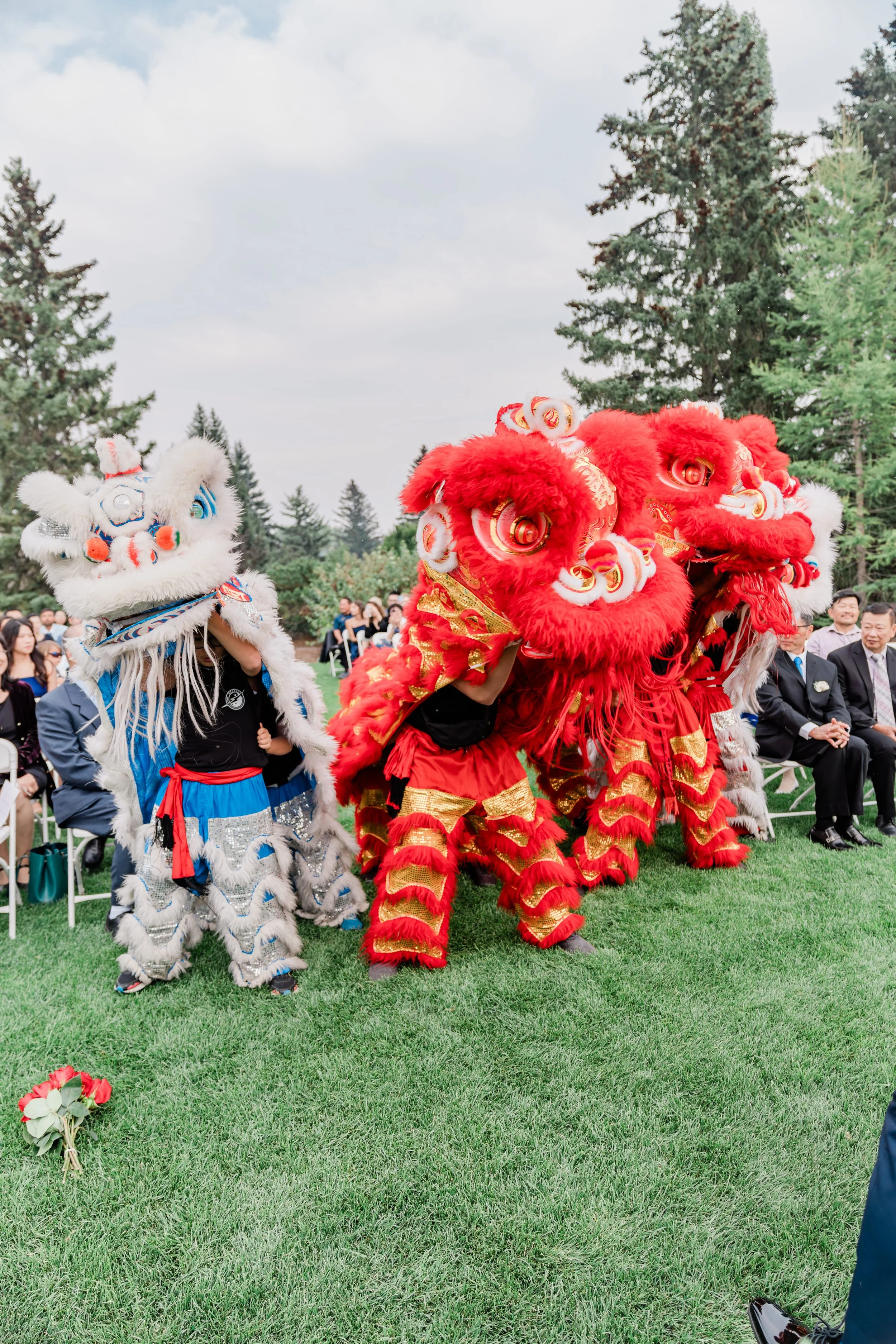 Lion dance performers in traditional costumes performing outdoors during a event with seated audience and greenery in the background.