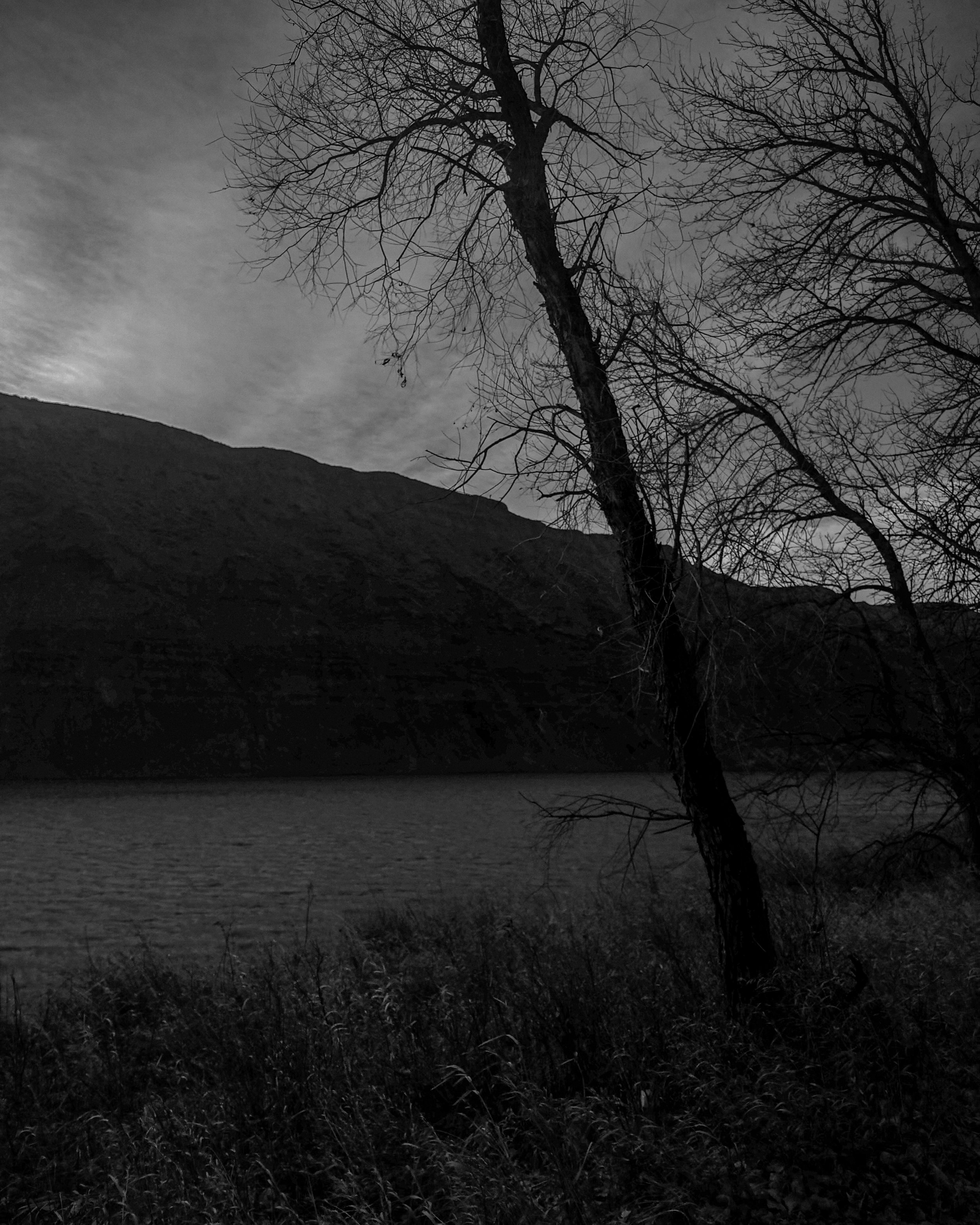 12 Edge of Silence.jpg