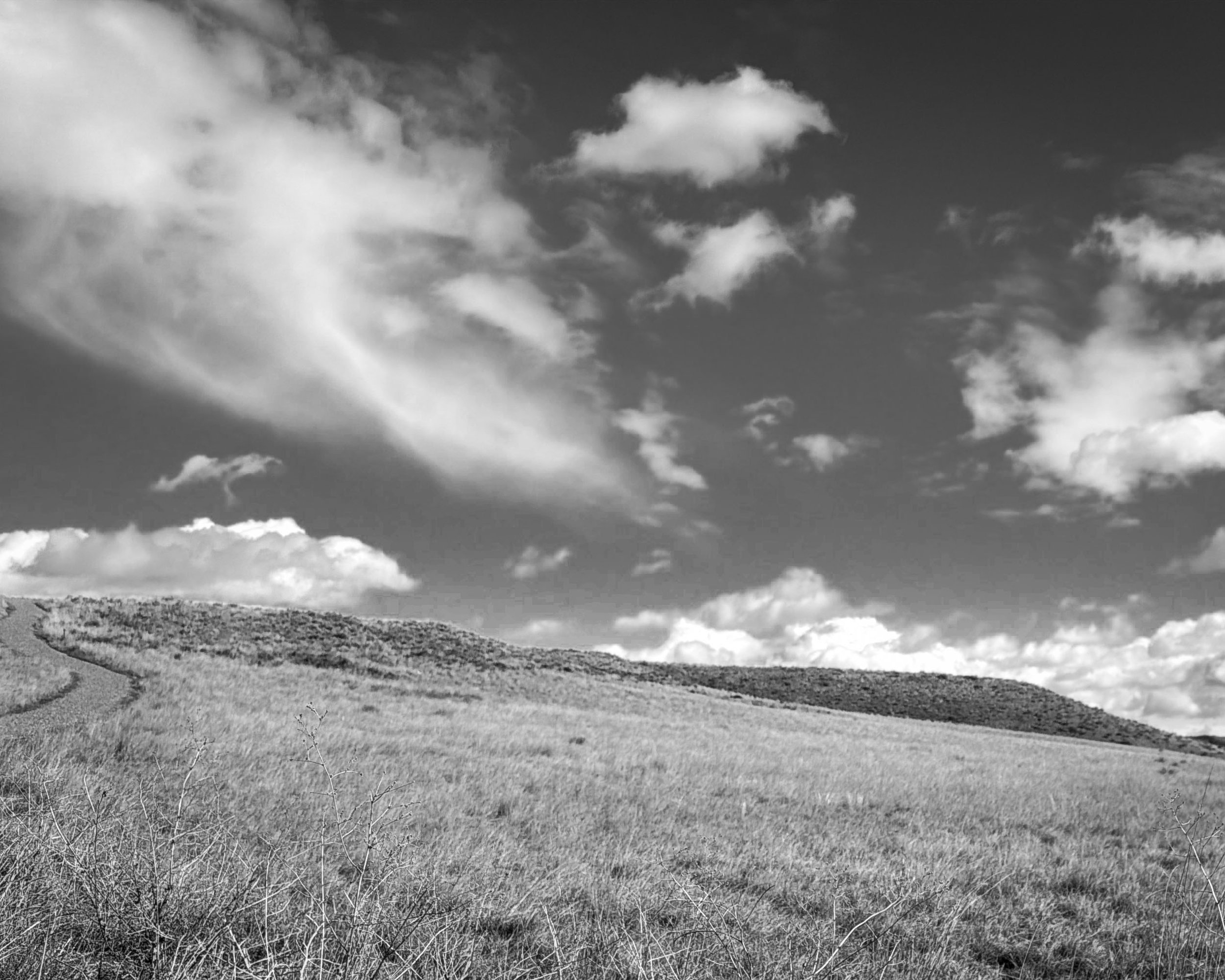The Prarie Breaths