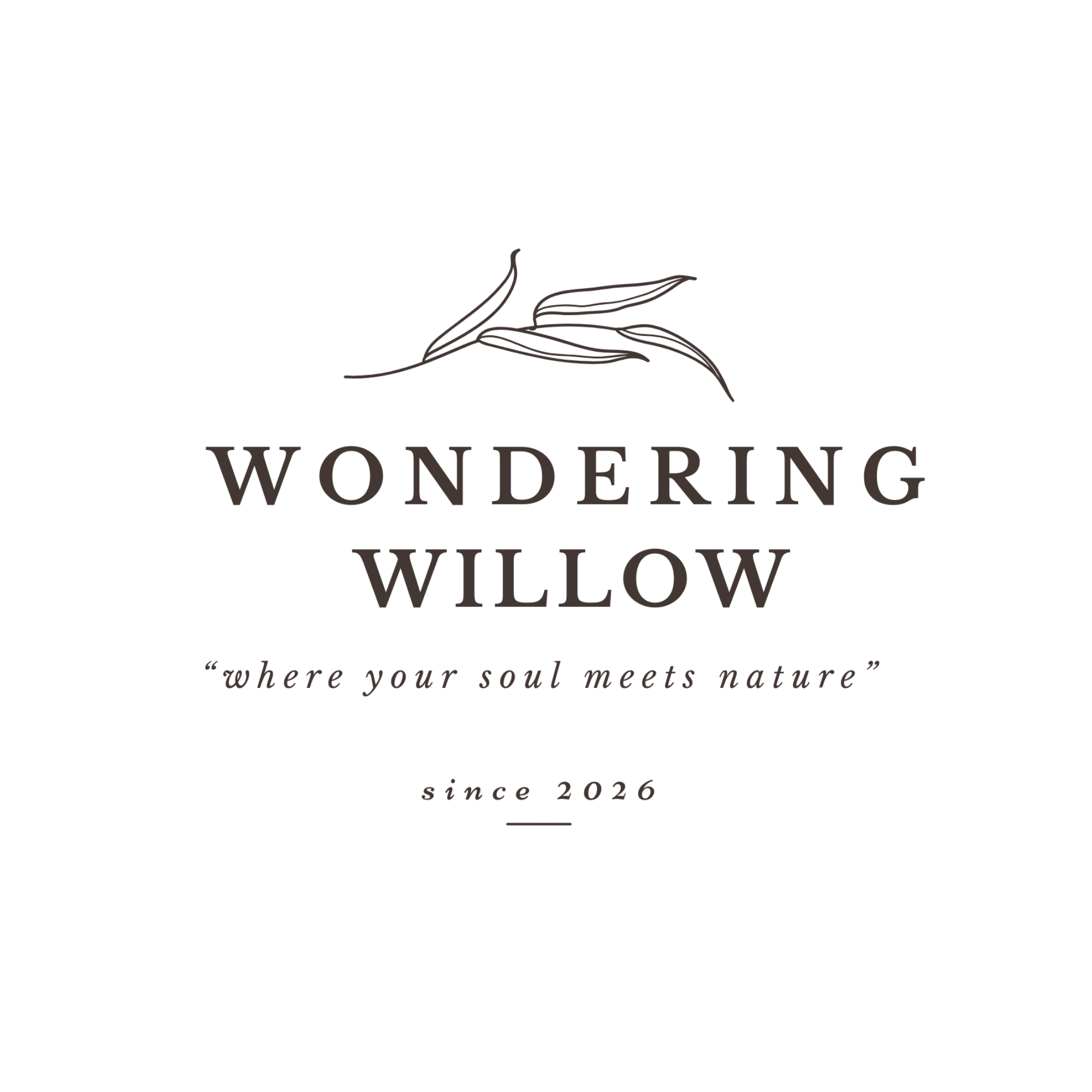Logo for Wondering Willow with a line drawing of a willow branch and the tagline "where your soul meets nature". Since 2026.