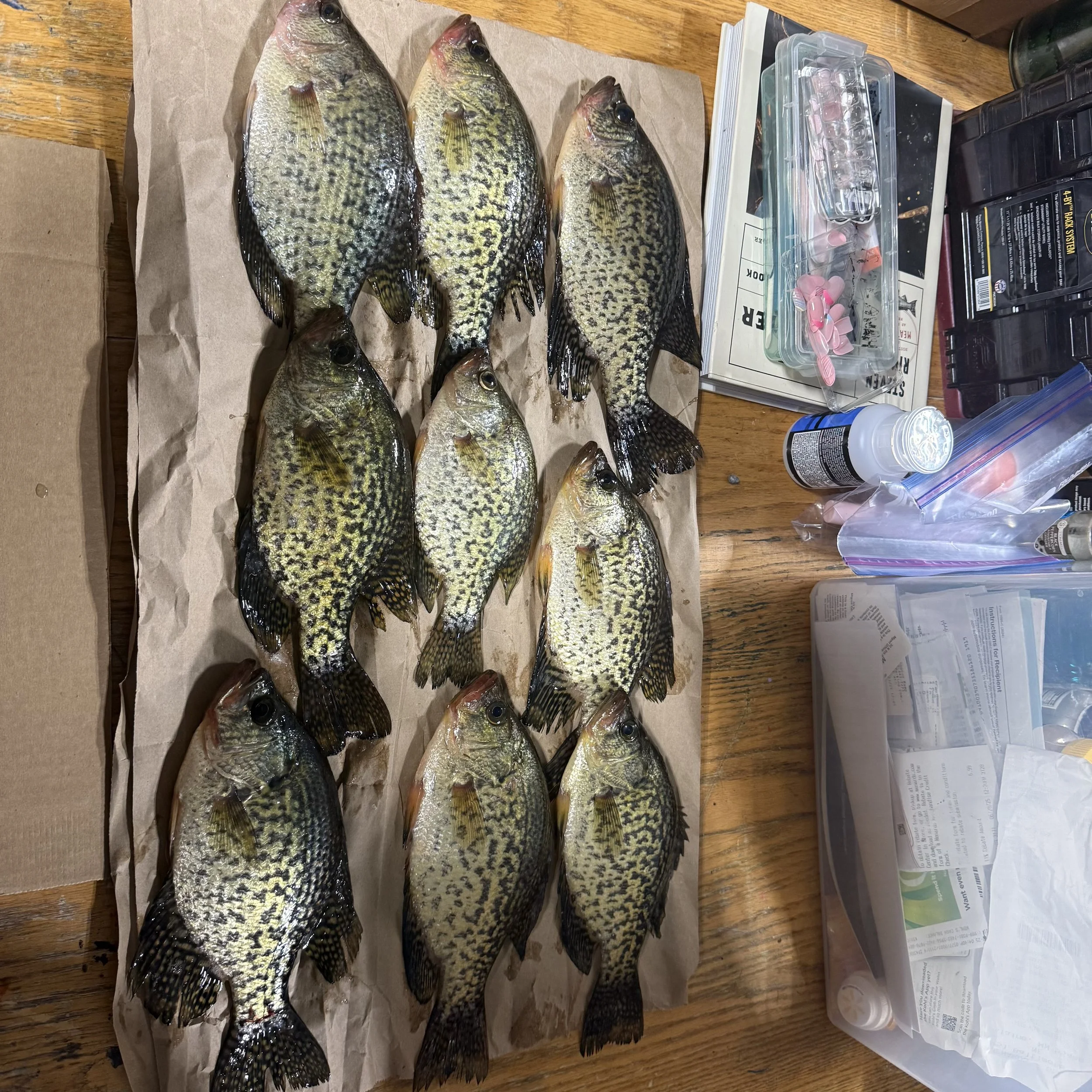 Ten crappie fish laid out on brown paper on a wooden table, with fishing gear and supplies nearby.