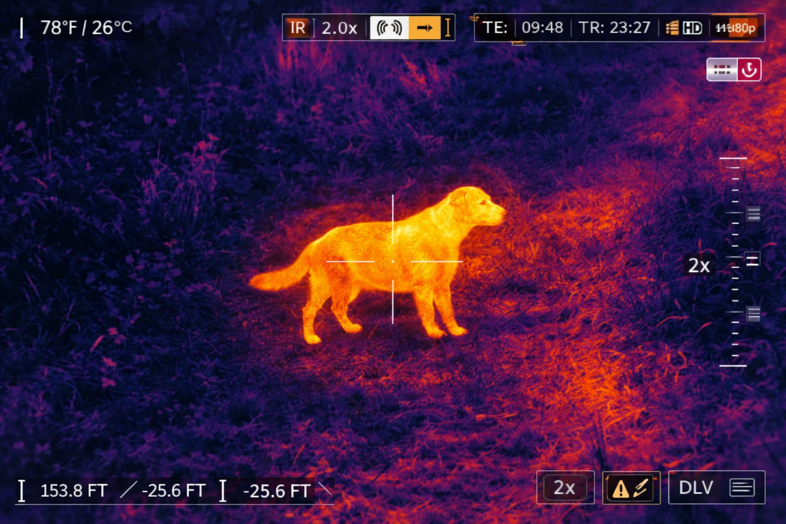 Thermal drone locating lost dog in Baltimore County Maryland