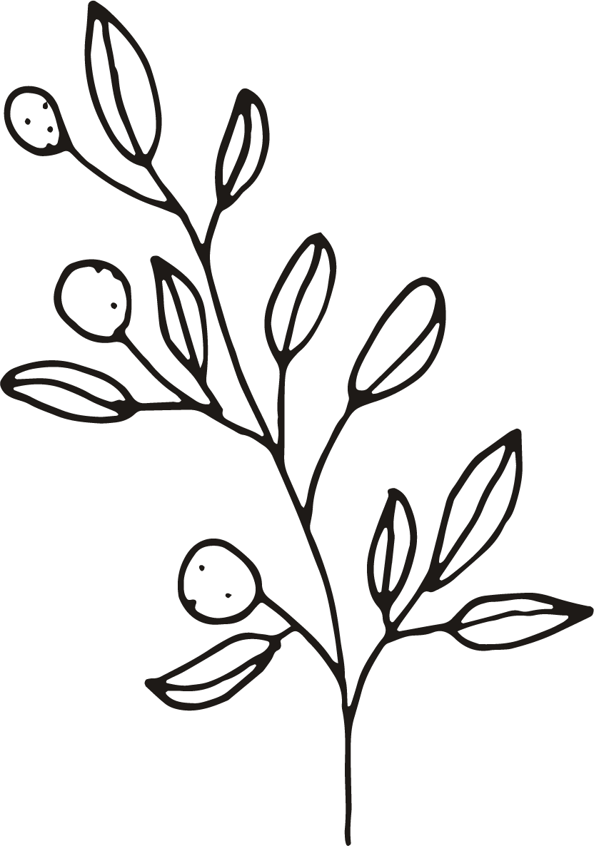 Asset 72.png
