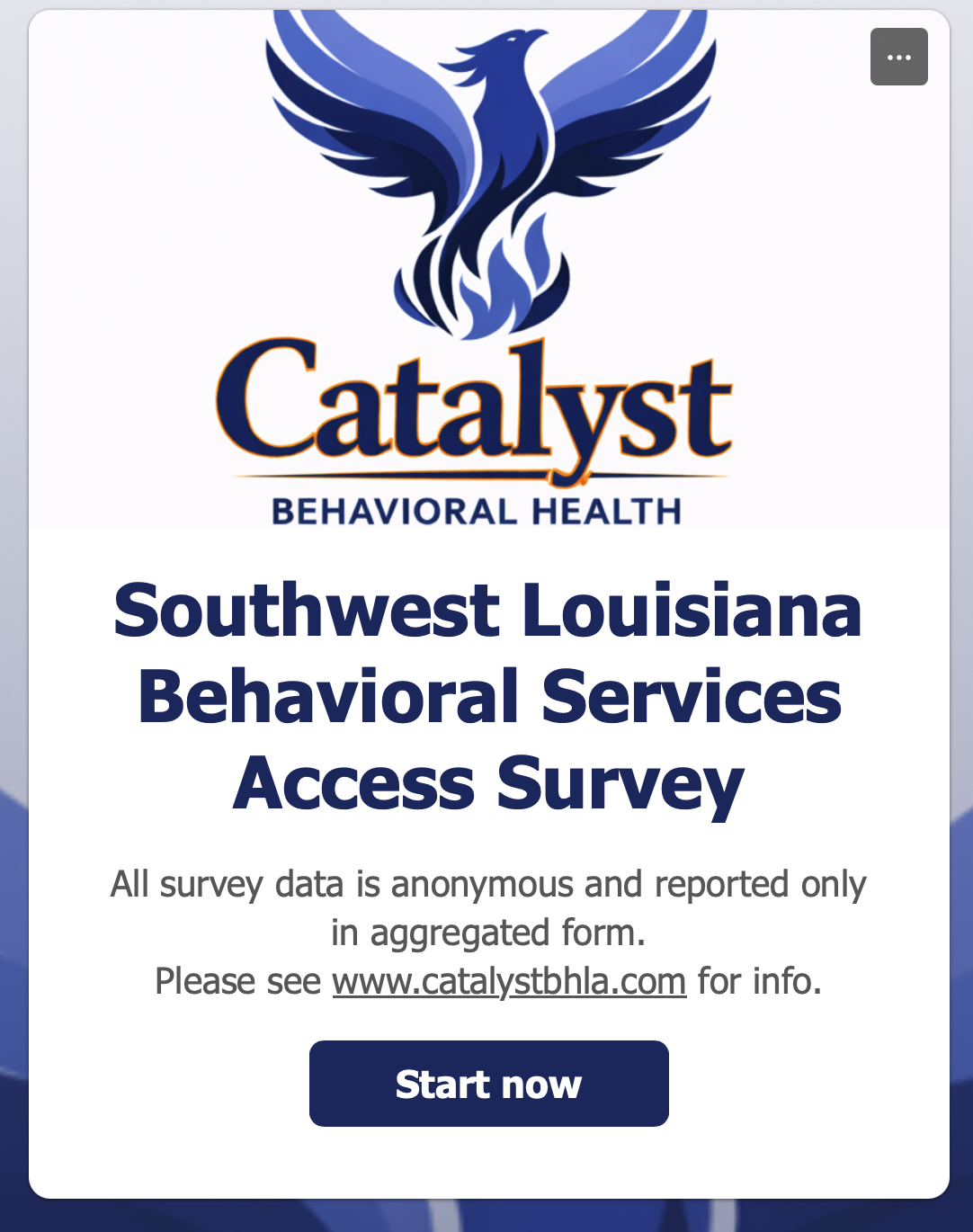 Southwest Louisiana Service Access: Survey