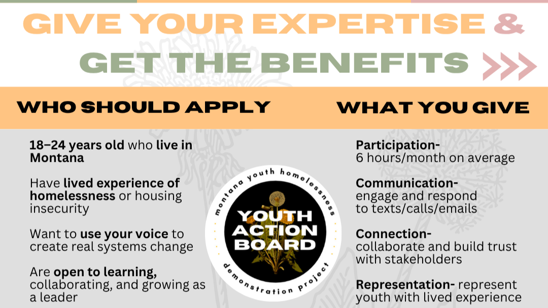 Infographic about youth action board, encouraging adults to apply. Highlights who should apply, what they give, including participation, communication, connection, and representation.