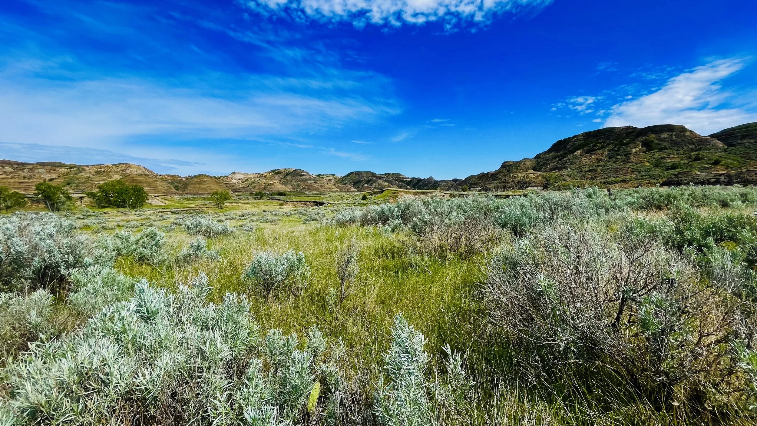 Scenic view of a lush, green valley with shrubs, trees, and rolling hills under a bright blue sky with some clouds.