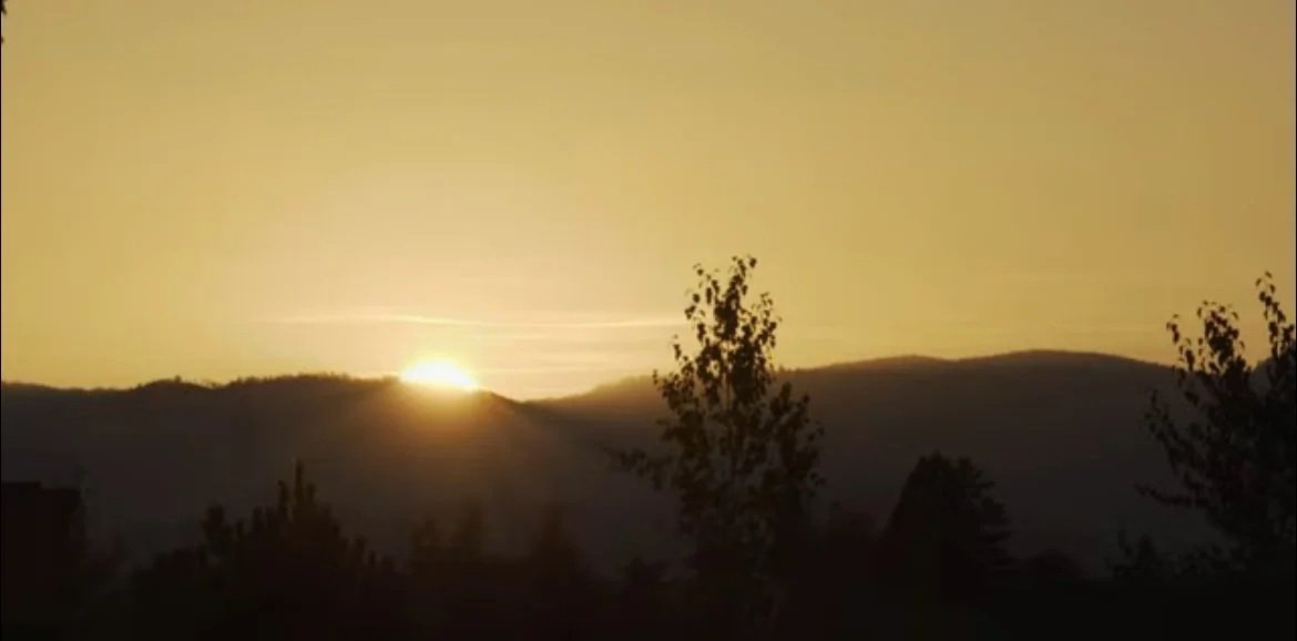 Sunset over a hilly landscape with silhouettes of trees in the foreground.