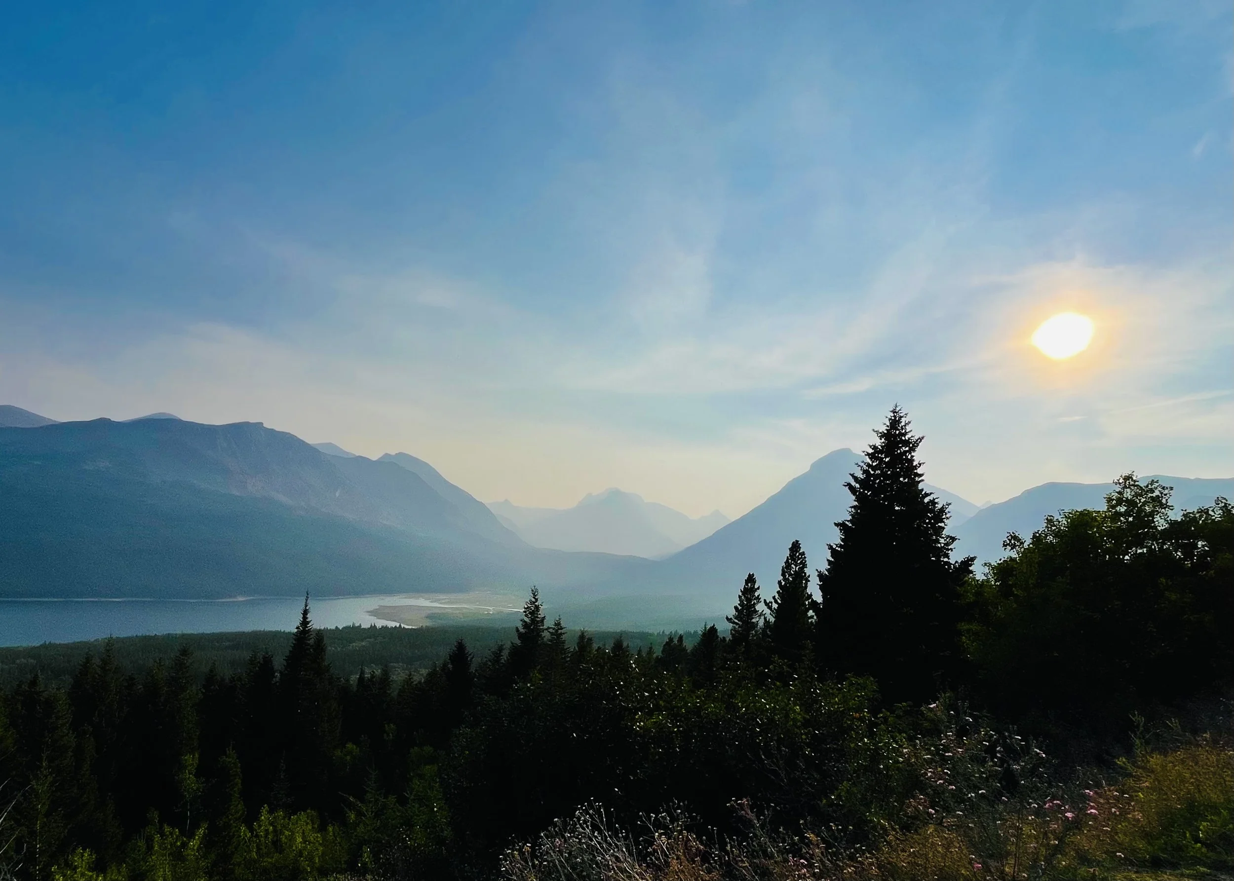 Sun rising over mountains with a clear blue sky and pine trees in the foreground.