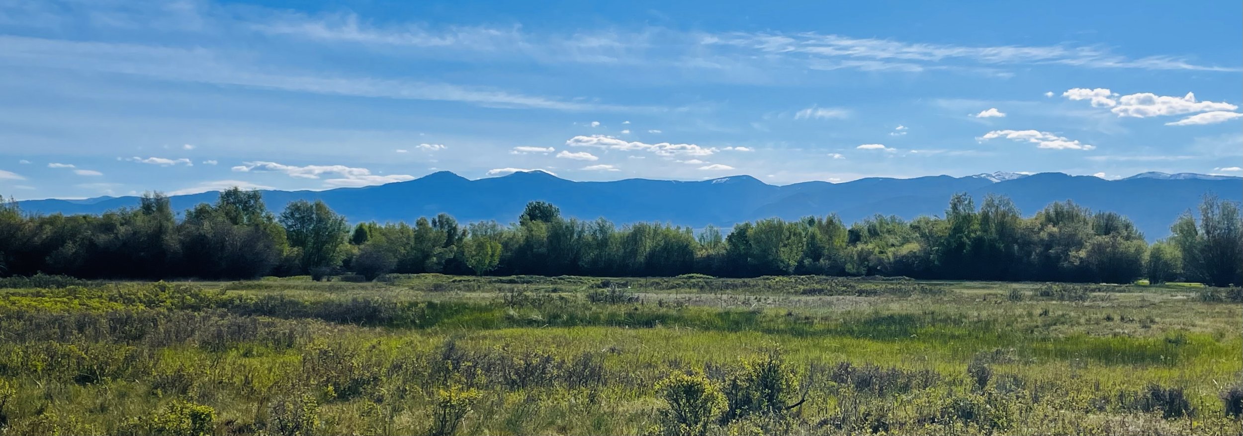 Scenic landscape with green fields, dense trees, and blue mountains in the background under a partly cloudy sky.