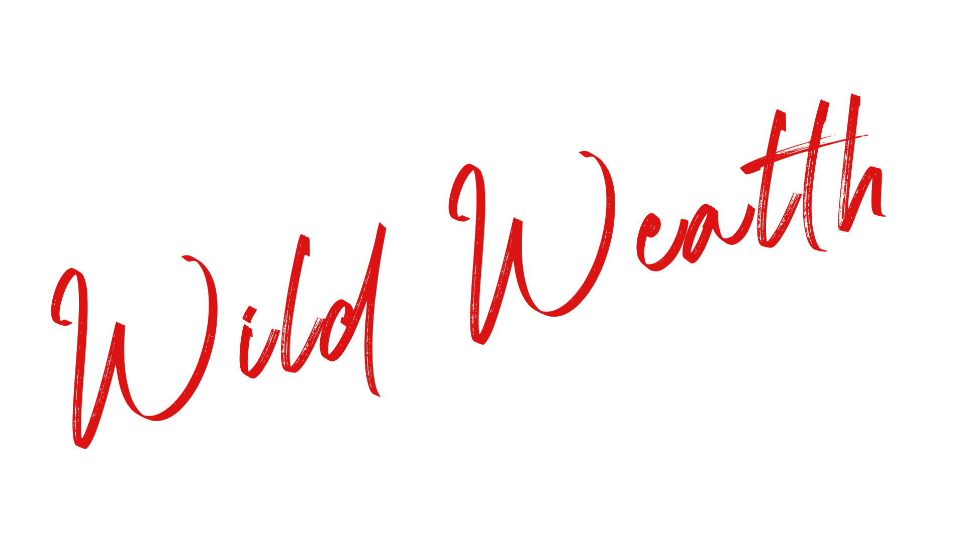 Stylized red cursive text reading "Wild Heart" on a black background.