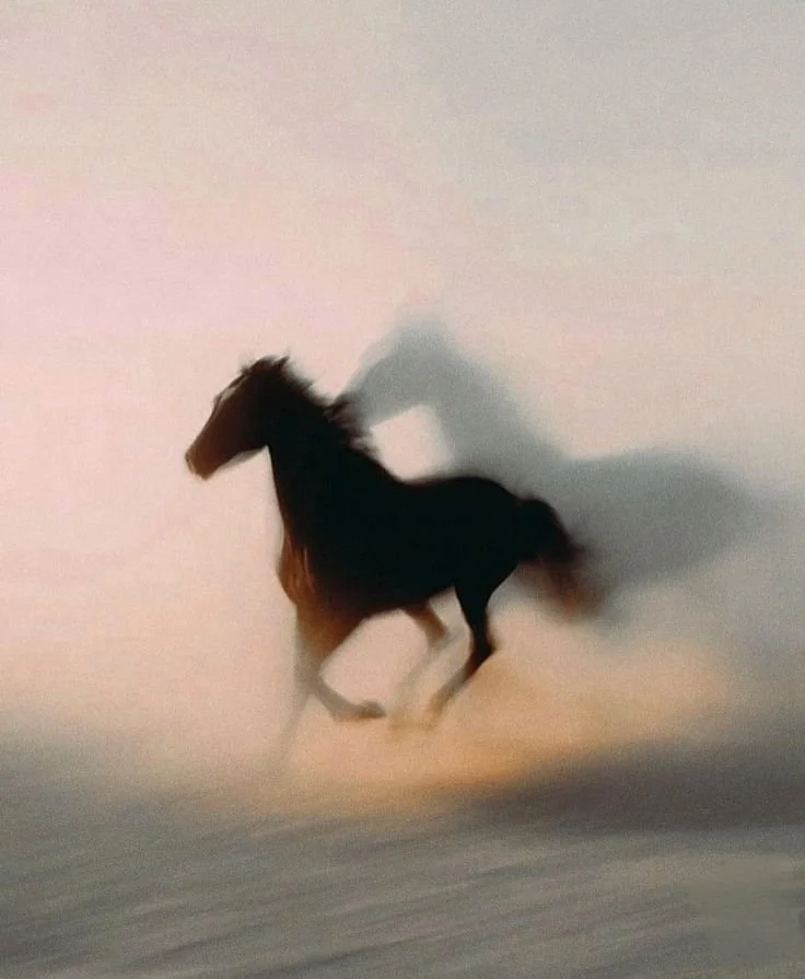A horse running on a dusty terrain, with a blurred motion effect against a pale sky.