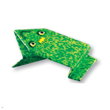 The Enchanged Frog