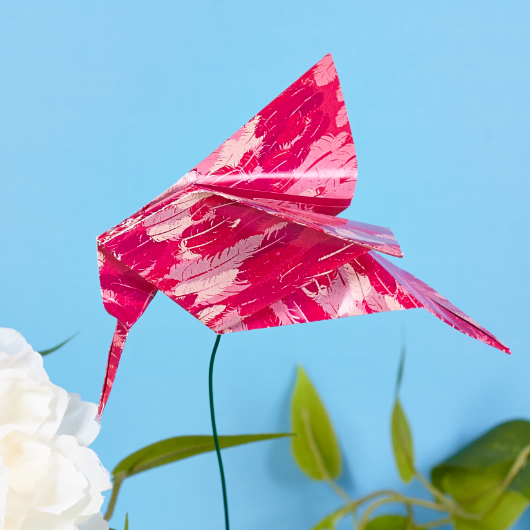 Needles the Hummingbird