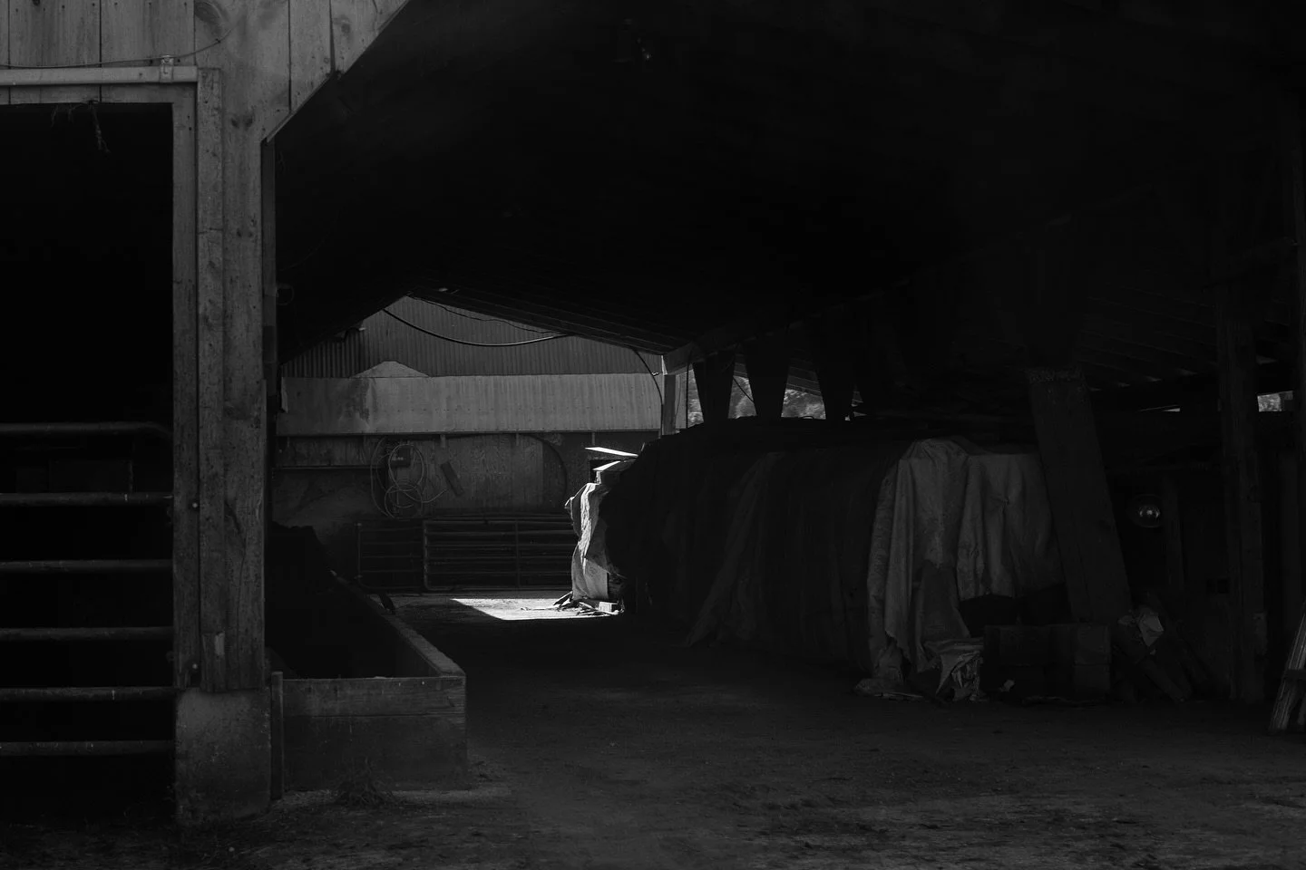 Light the corners and hide skulls in the trees, that&rsquo;s where you&rsquo;ll find the places I&rsquo;ll be 🌪️

#bnw #bnwphoto #naturephotography #bwphoto #bwphotography #bnw_oftheworld #monochromephotography #abandoned