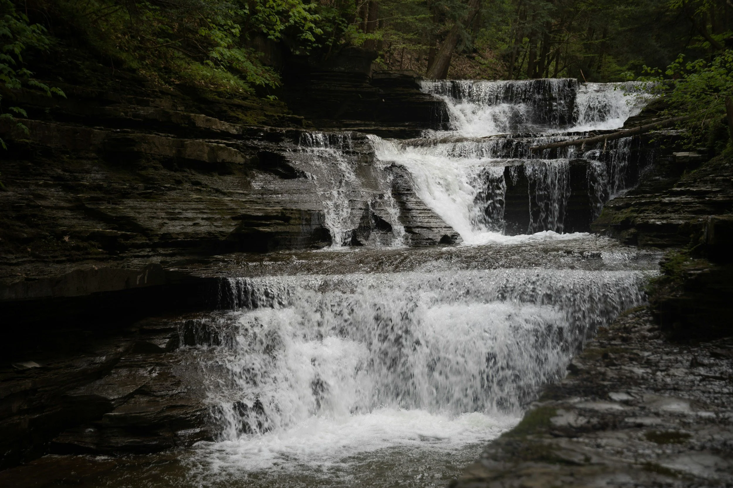 A waterfall flowing over layered rocks in a wooded area with lush green trees surrounding it at Treman State Park.