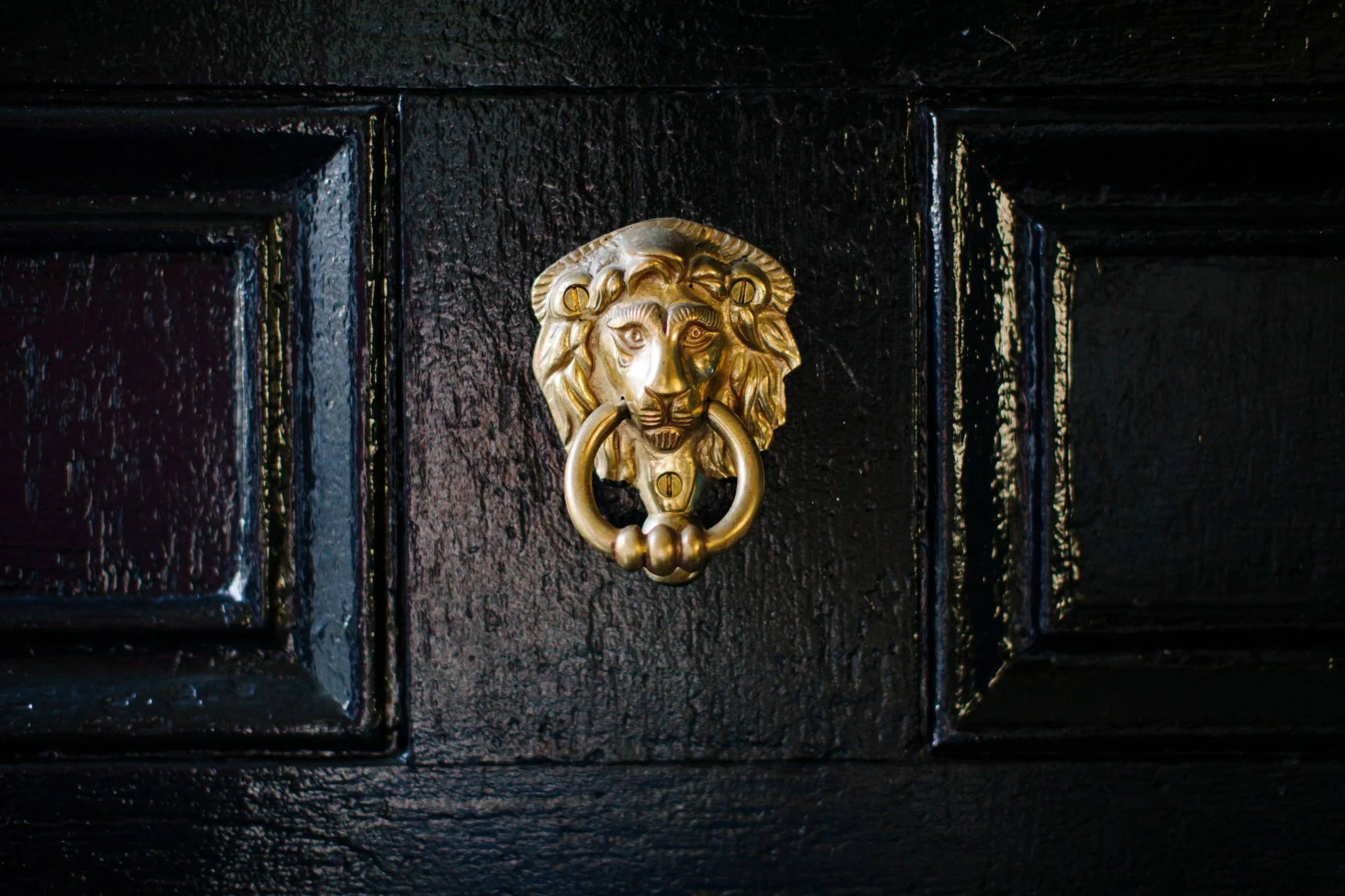 Close-up of a black wooden door with a gold lion's head door knocker.