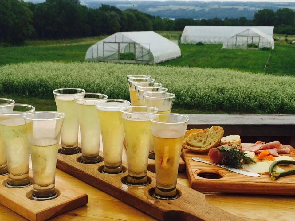 Ten glasses of cider on a wooden flight paddle, with a charcuterie board featuring bread, cheese, herbs, and sliced meats on a table outside. Green fields and two greenhouses are visible in the background at the Finger Lakes Cider House.