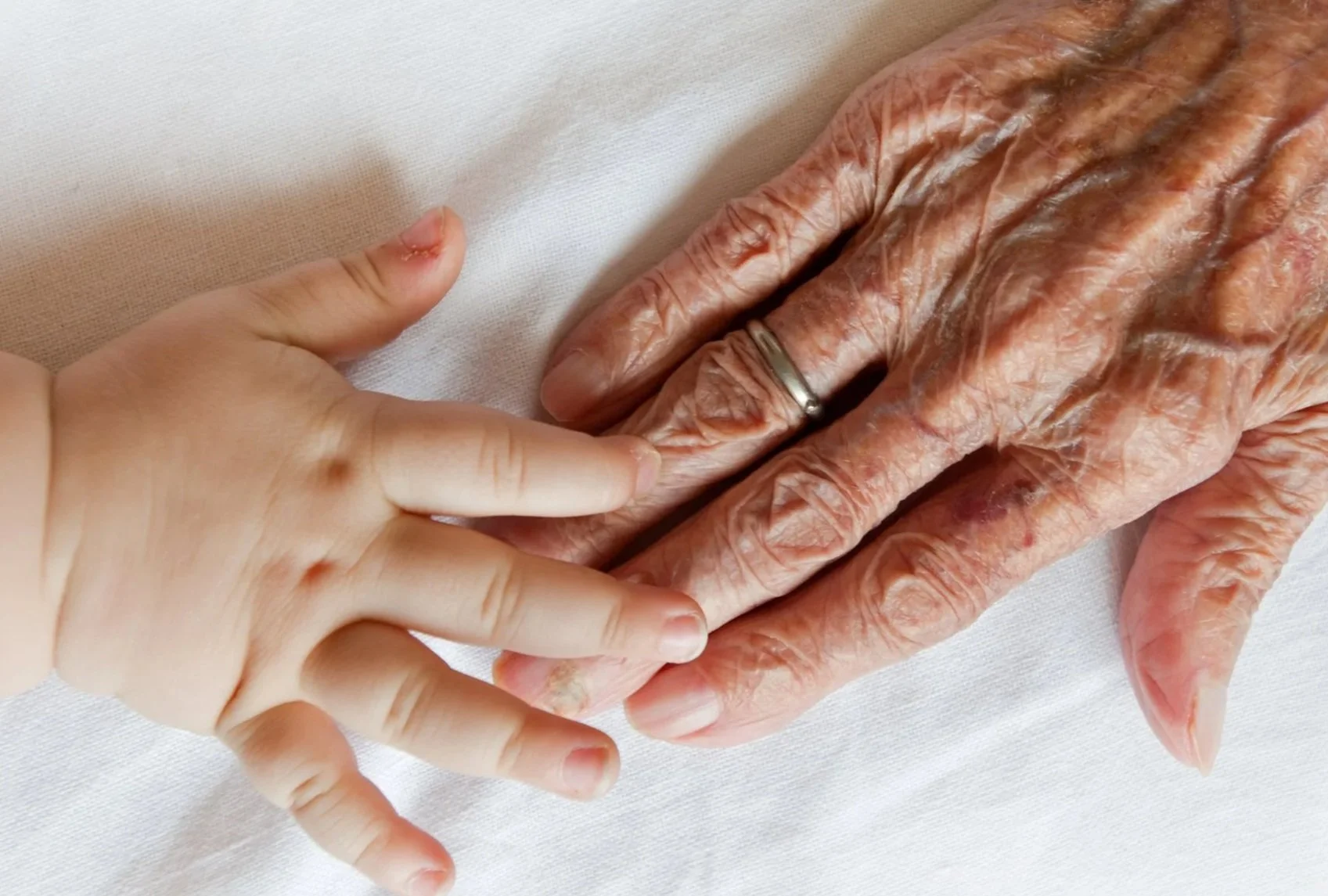 A young child holding the finger of an elderly person with wrinkled skin.
