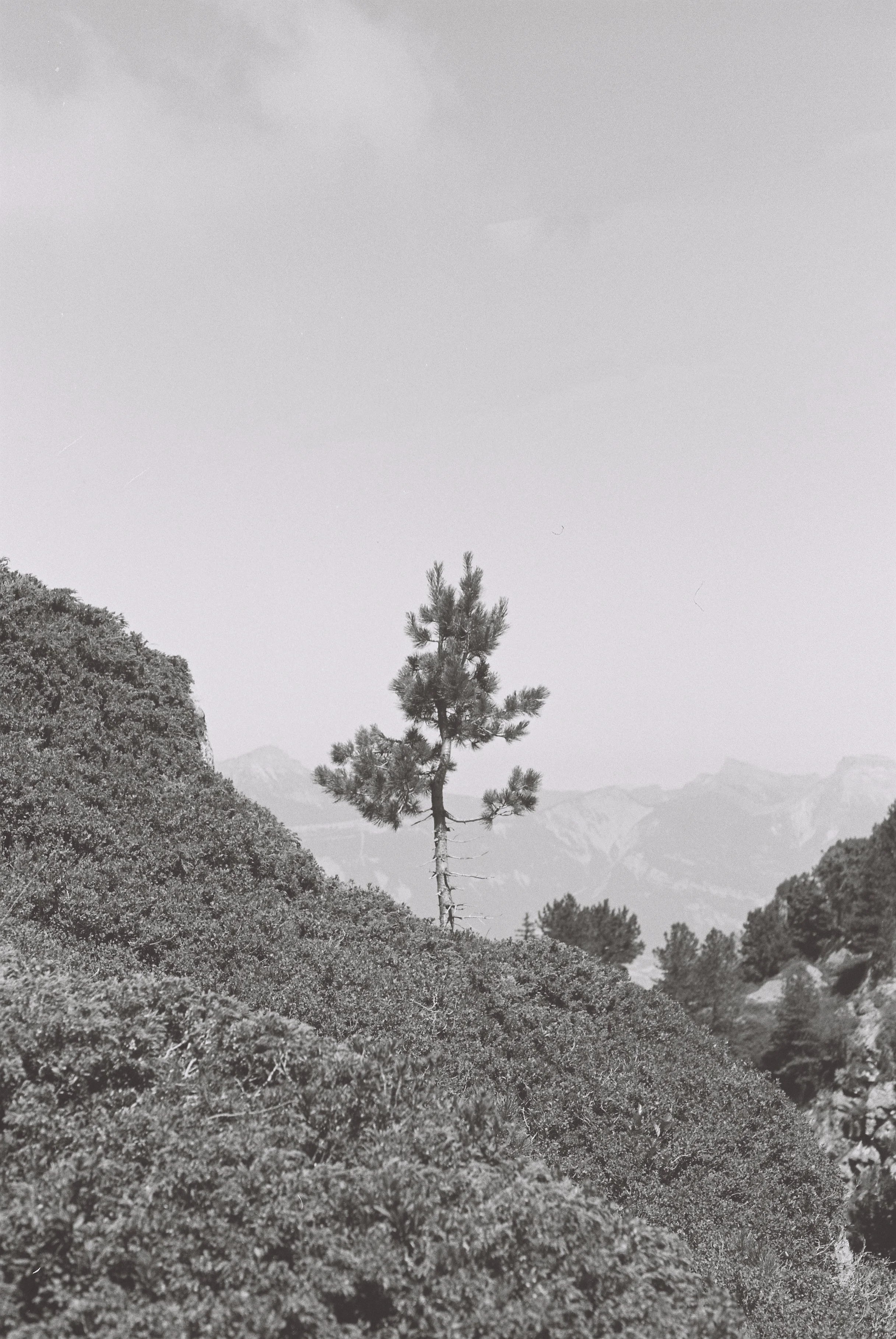 R1-05650-0017.JPG