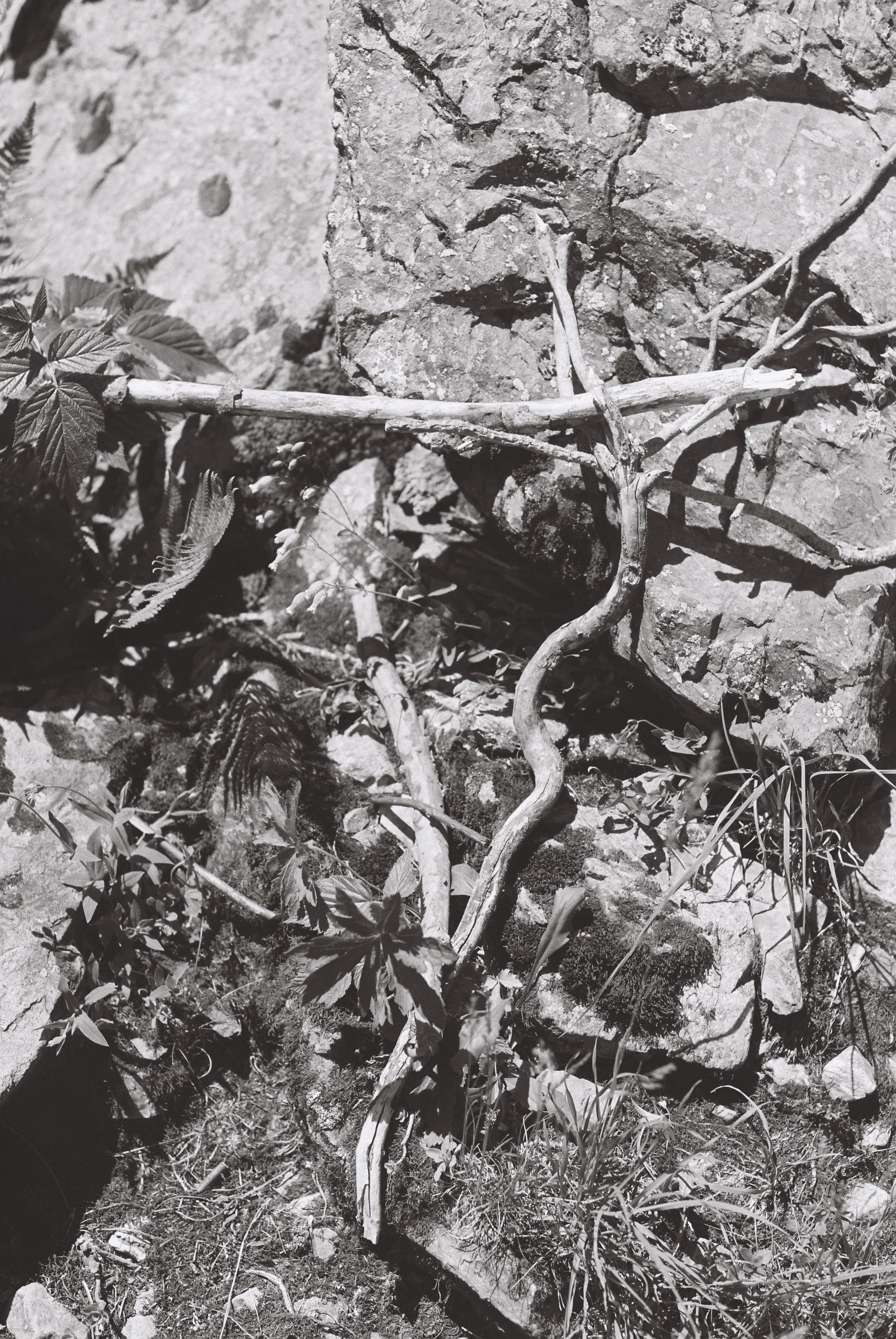R1-05650-0027.JPG