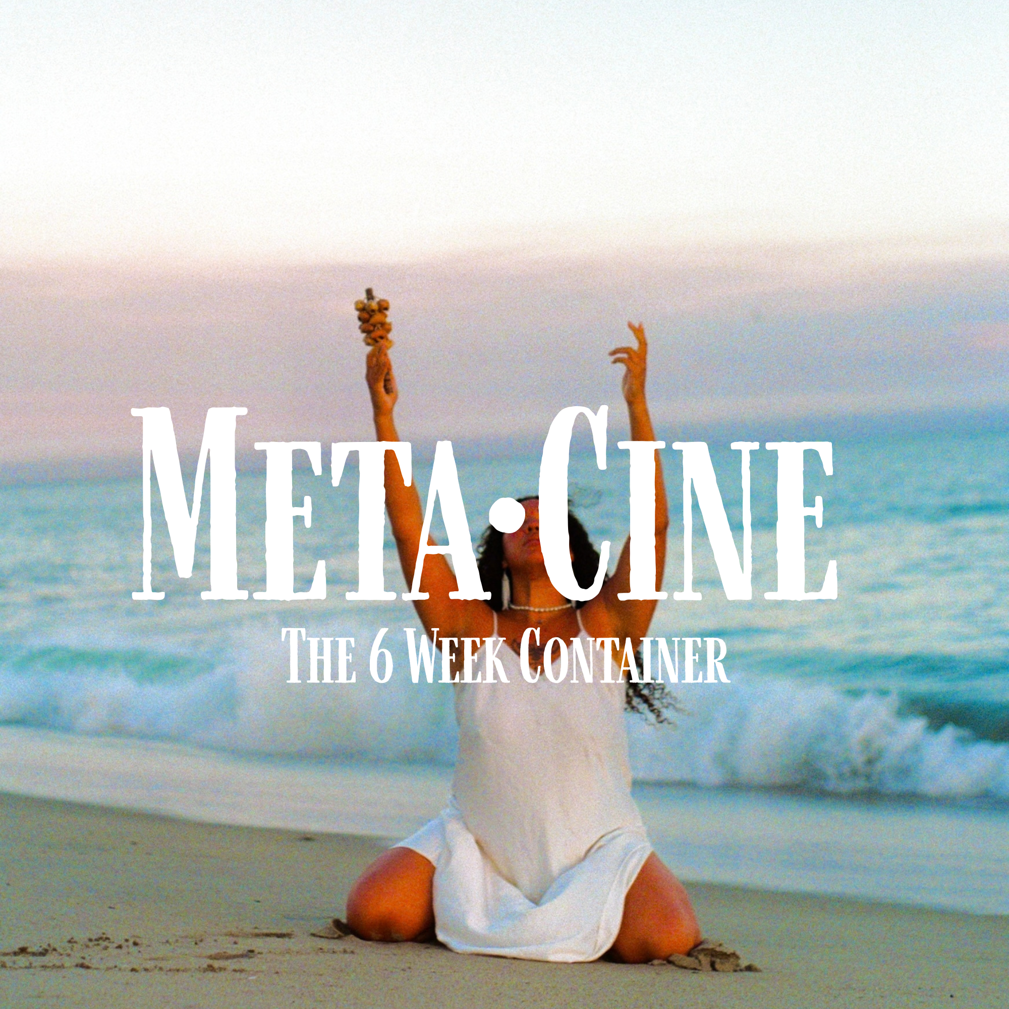 Meta•Cine