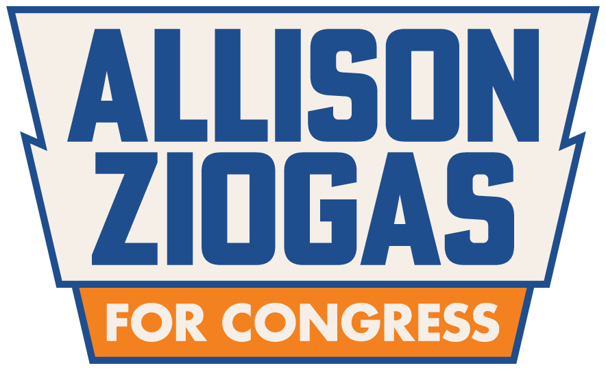 Allison Ziogas | Democrat for Congress - NY-11
