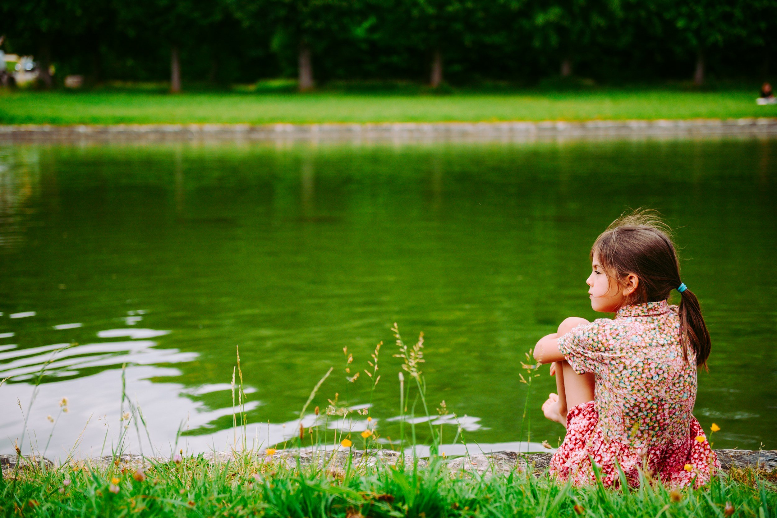 A young girl with long brown hair tied in pigtails, sitting by a green lake with grass and small yellow flowers in the foreground, wearing a floral dress, and looking at the water.