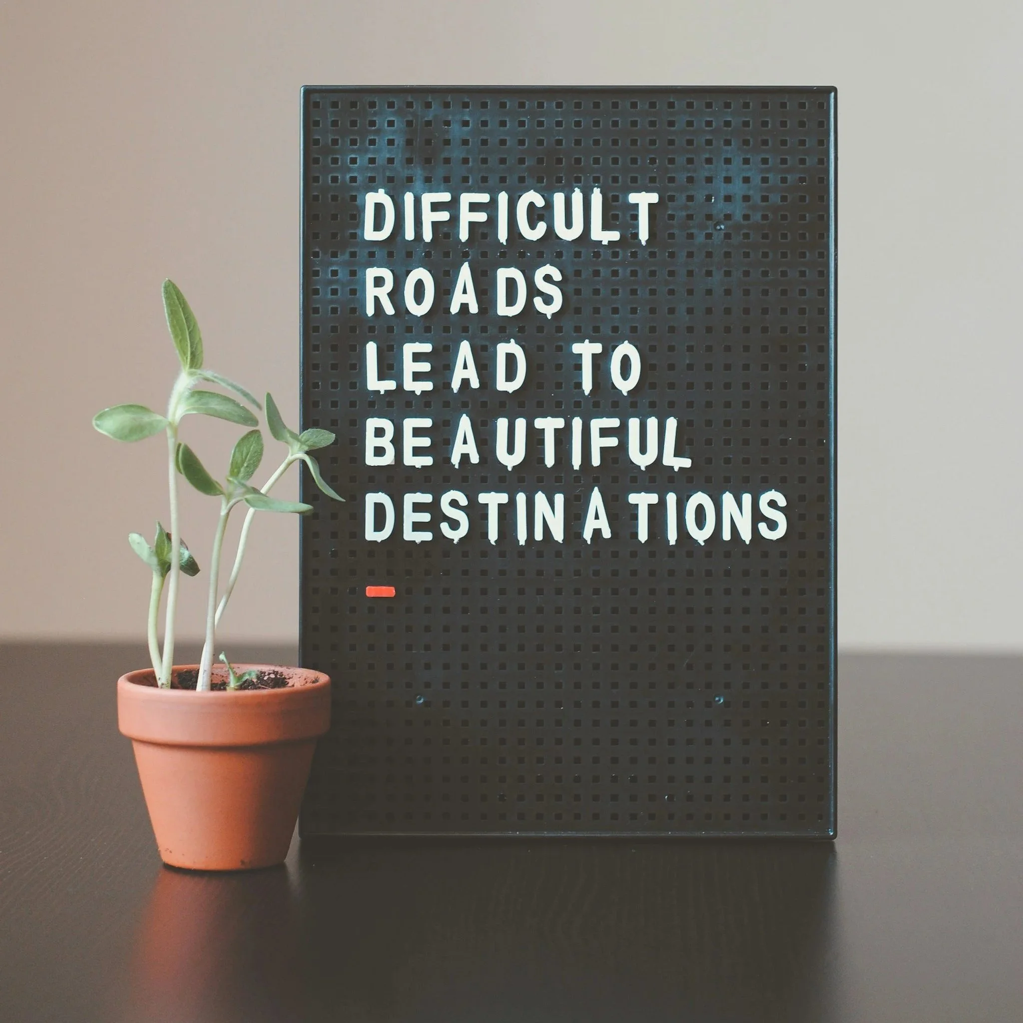 A black letter board with white text that reads 'Difficult Roads Lead to Beautiful Destinations' and a small potted plant with green leaves in front of it, set on a black surface against a plain light background.