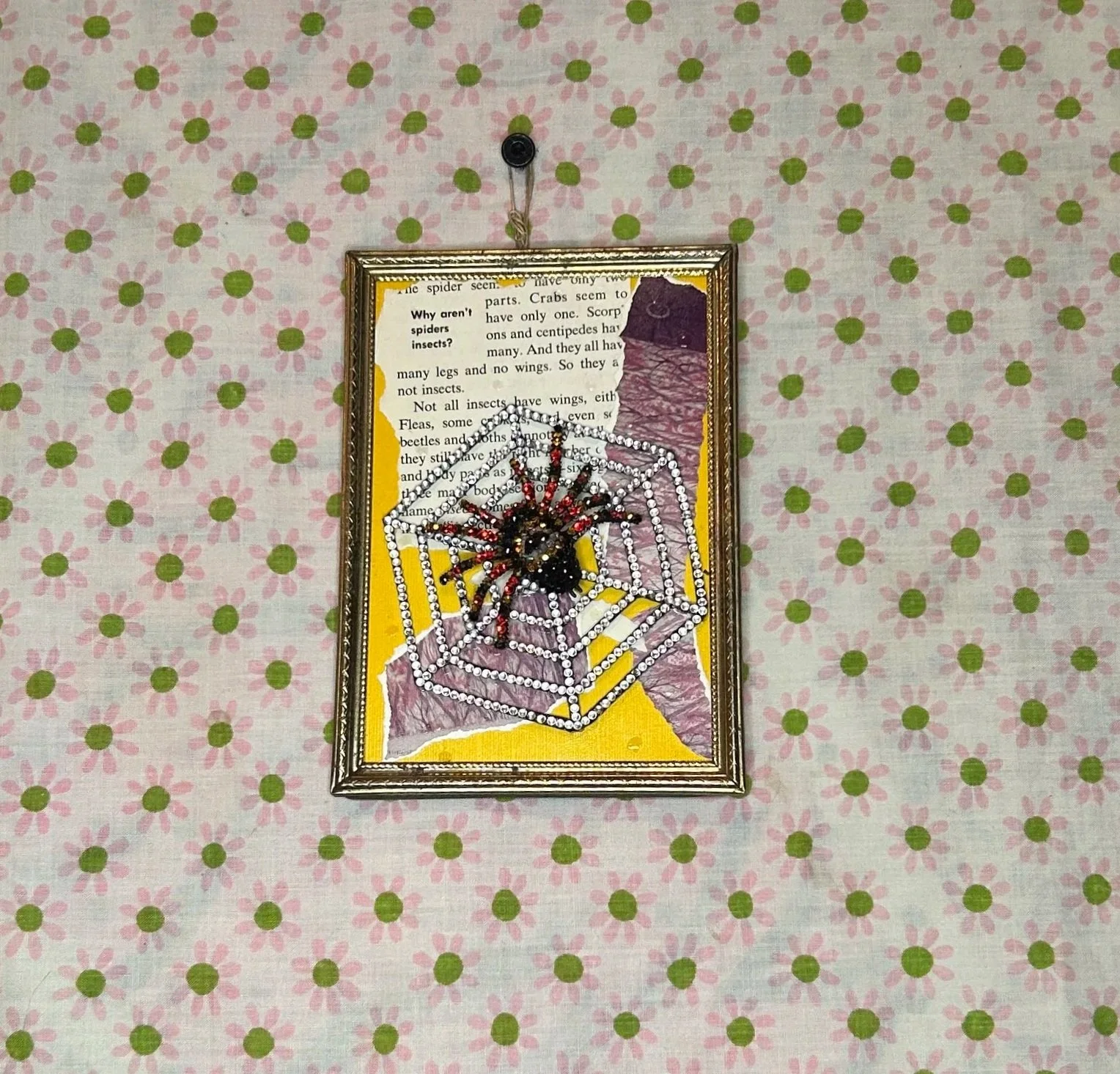 Red Knee Tarantula 5x7" Framed Art