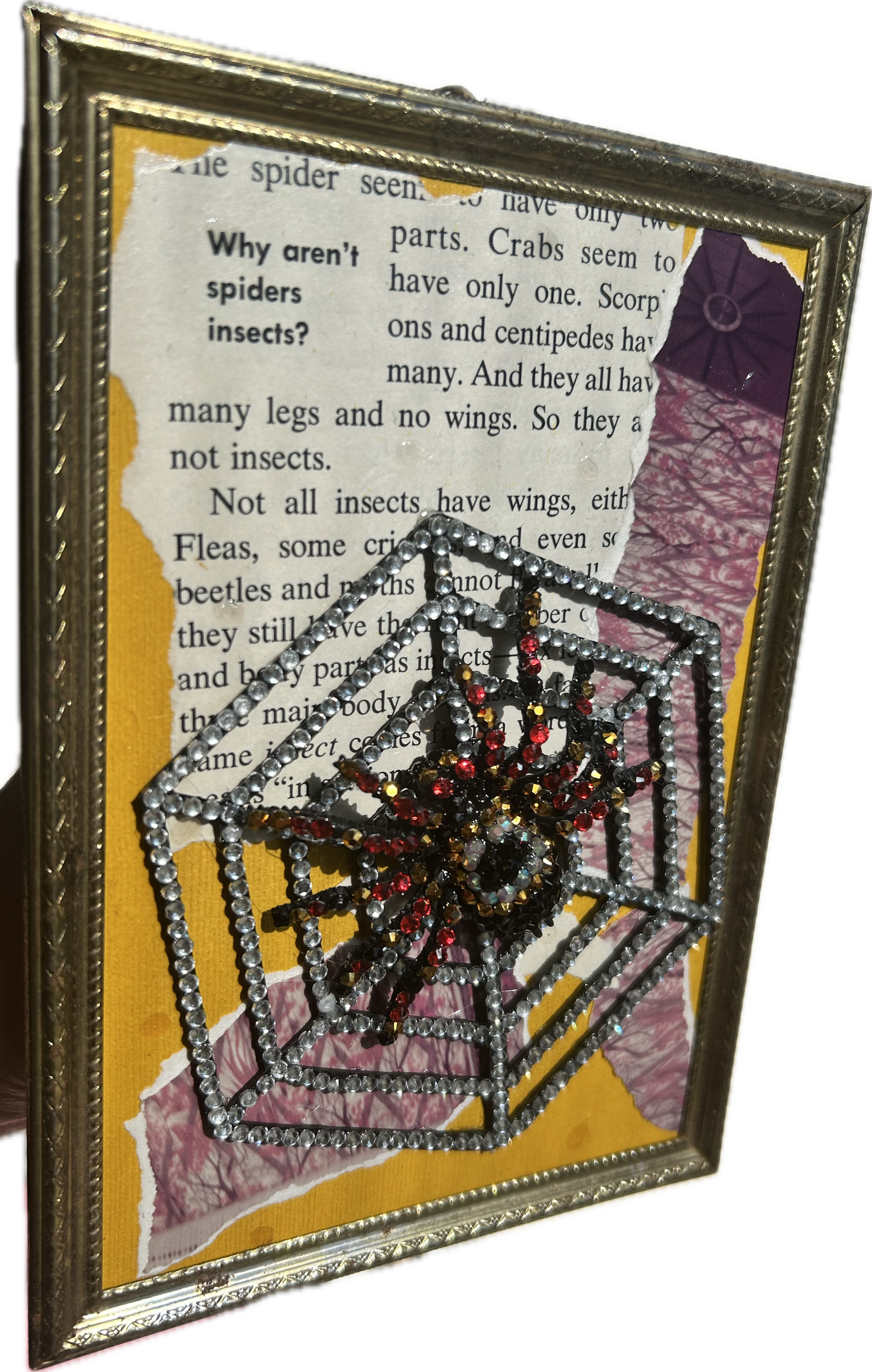 IMG_5850.png