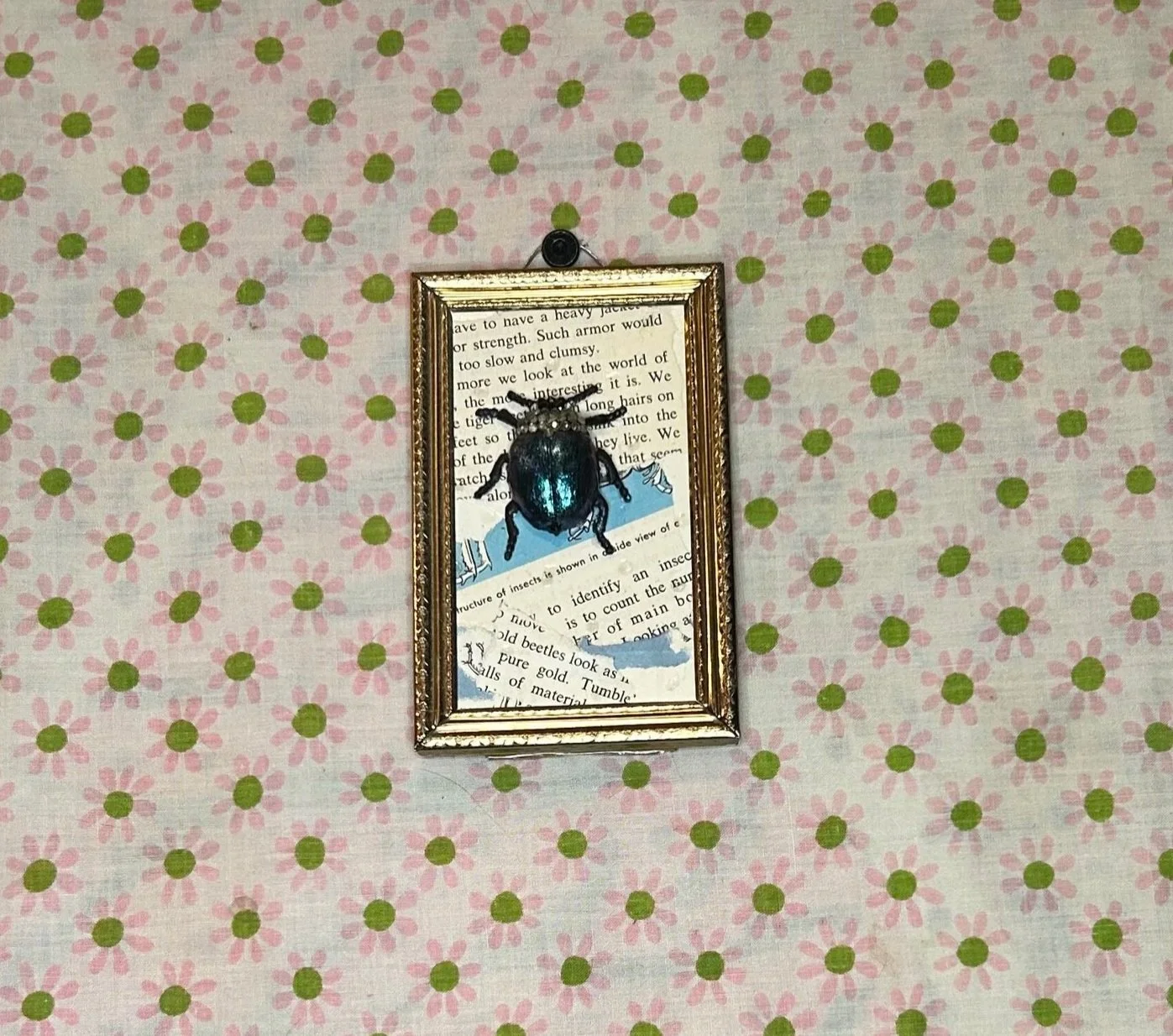 Disco Beetle 3.5x5.5" Framed Art
