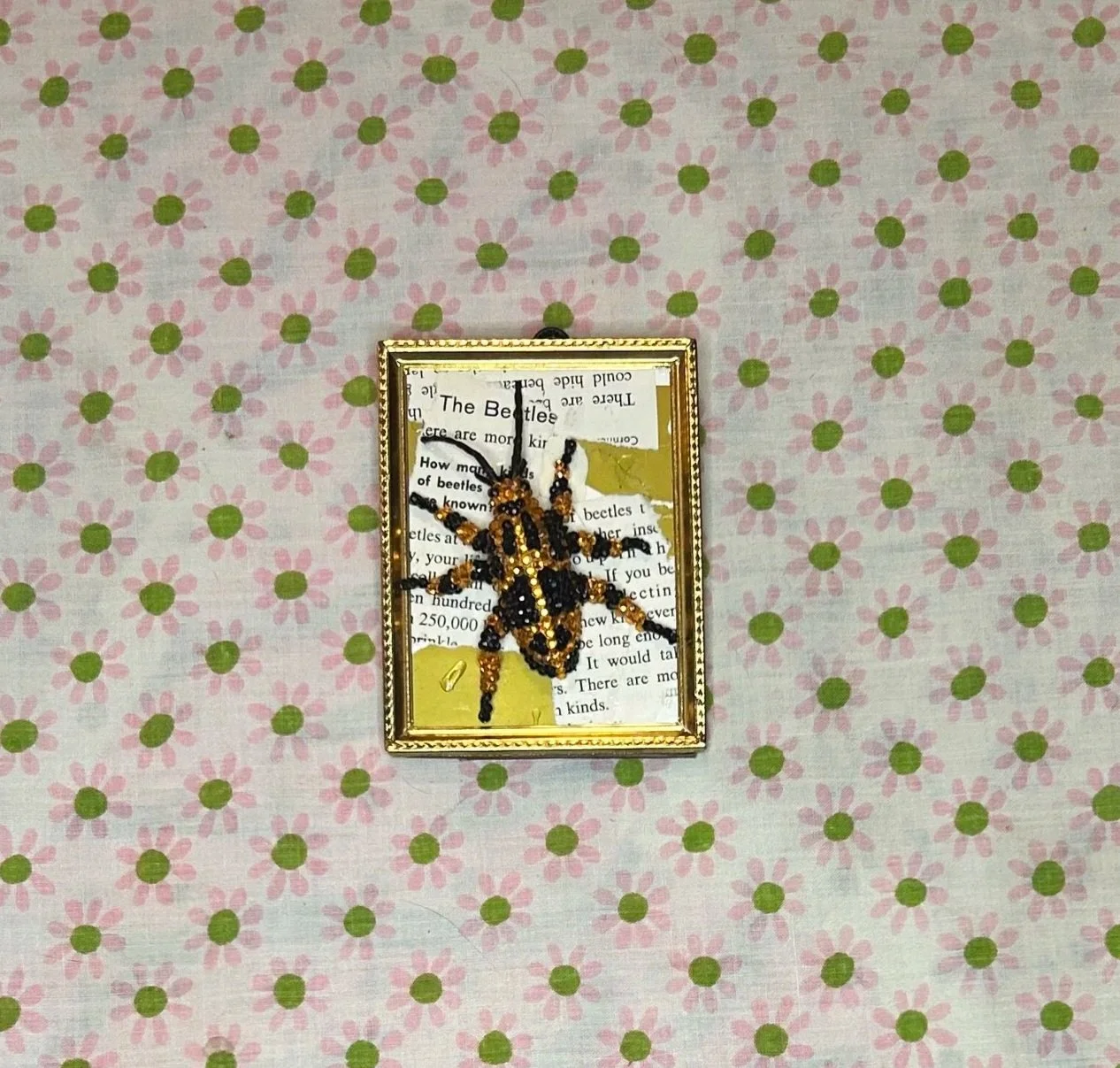 Blister Beetle 3.5x4.5" Framed Art