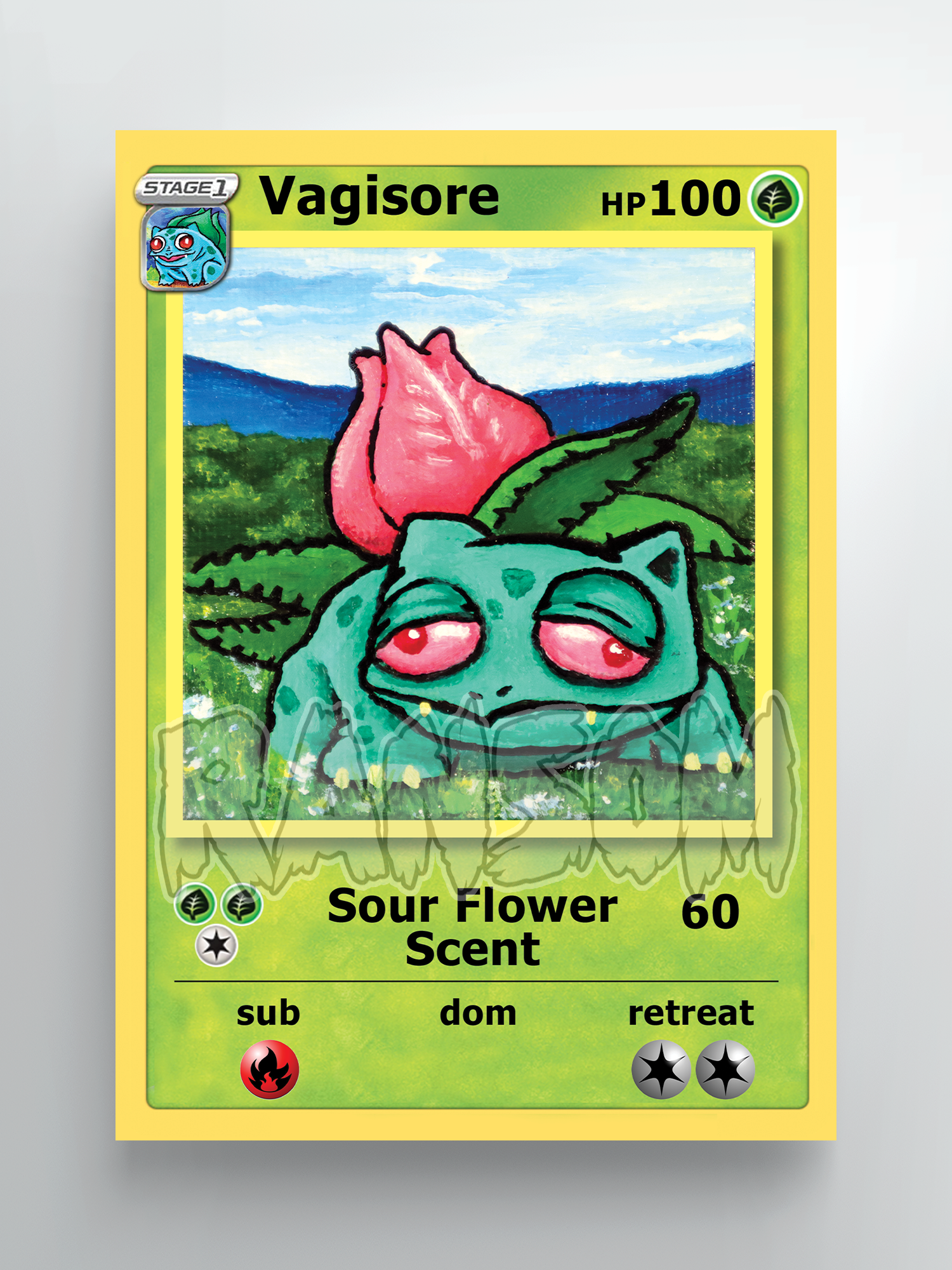 Vagisore