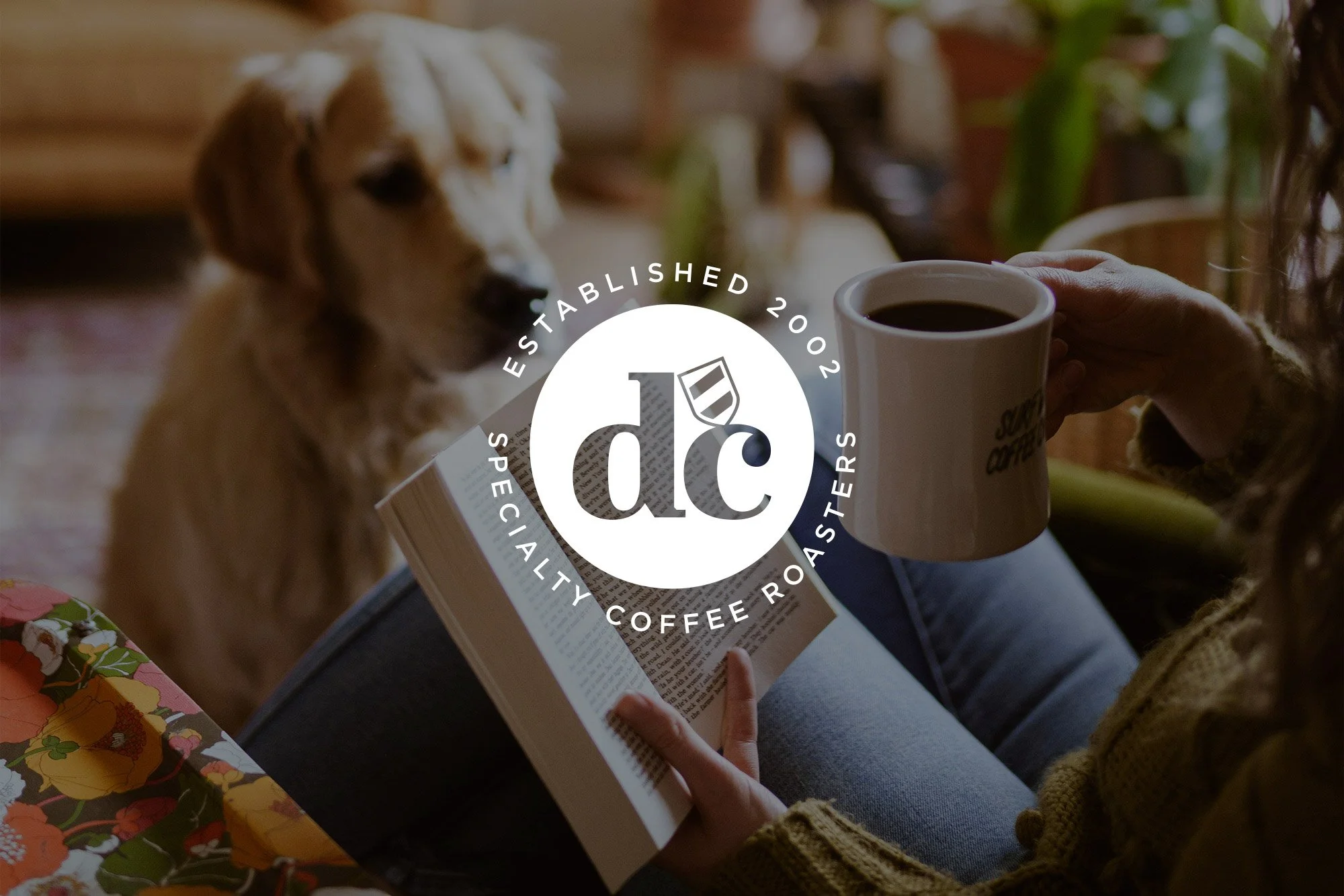 DC Coffee logo