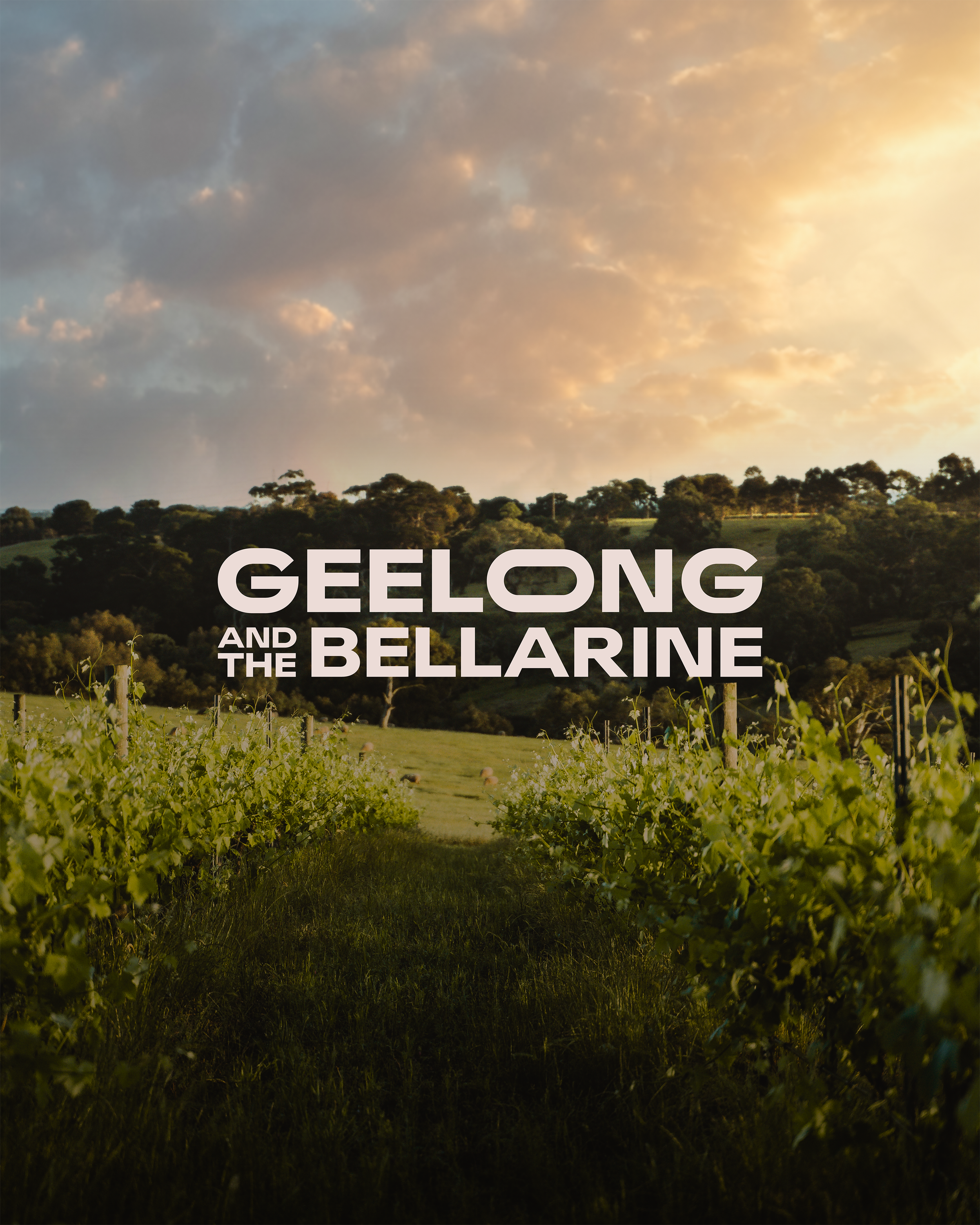 TGGB – Brand Refresh