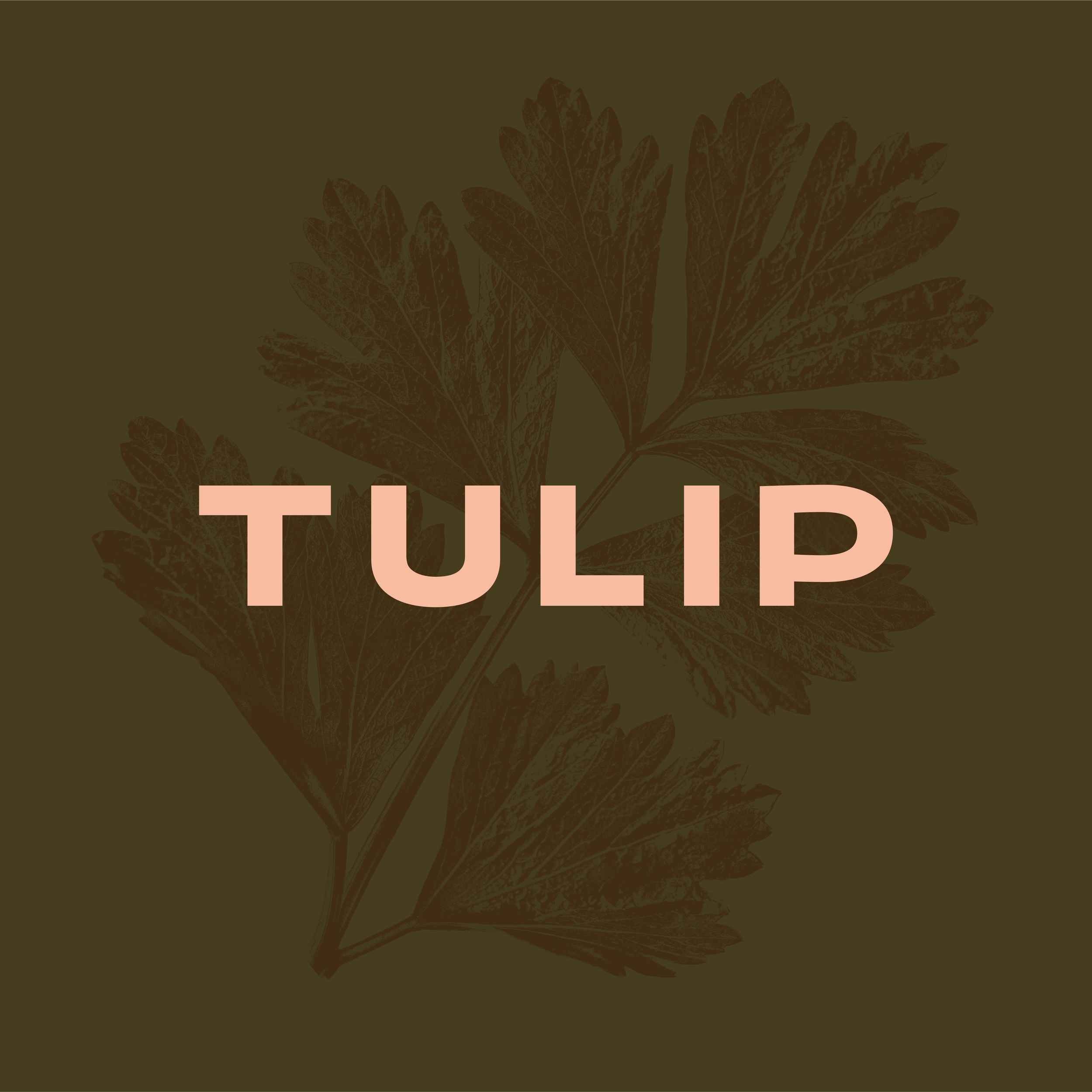 Ruck-Tulip-Socials-01.png