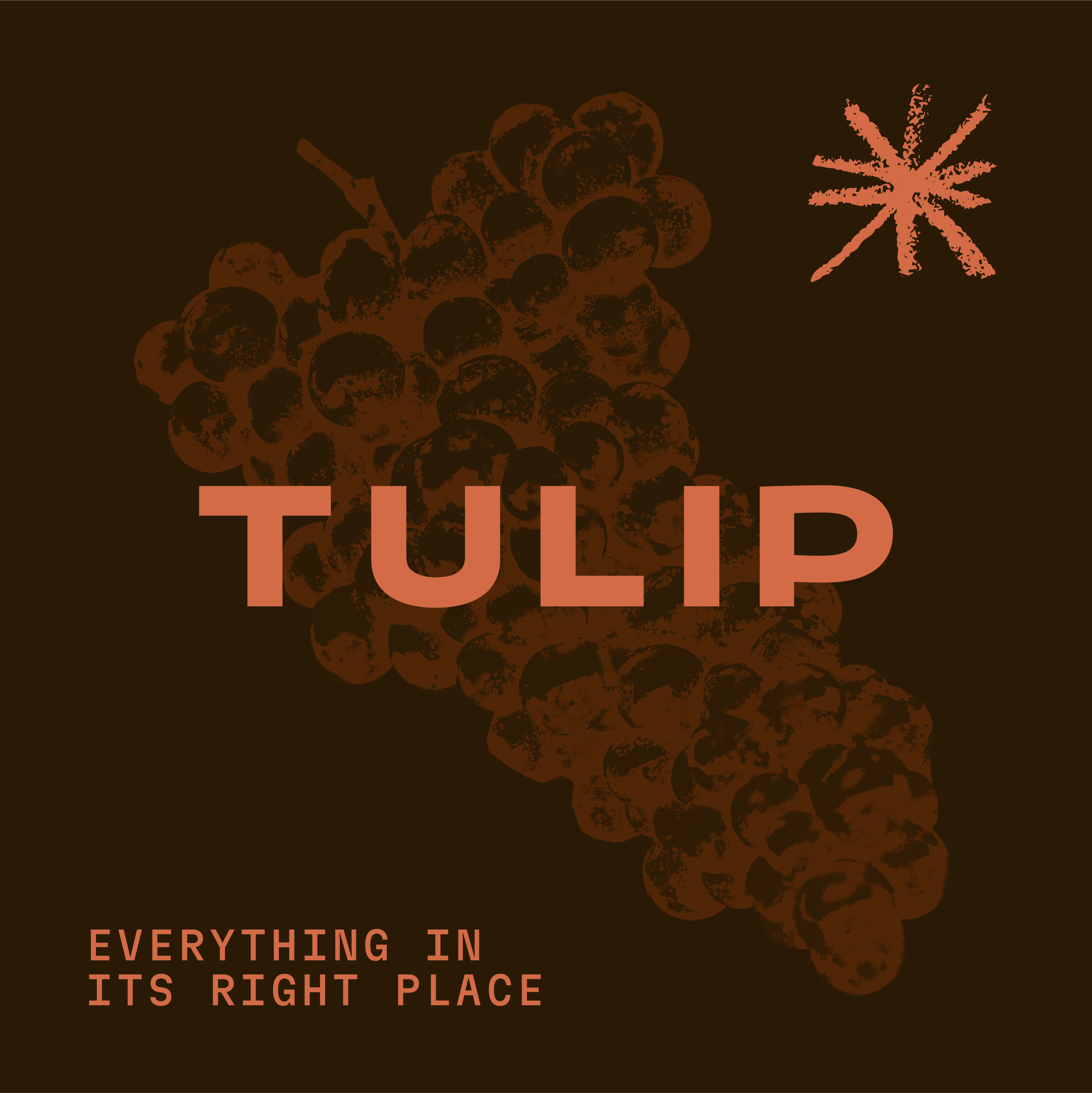 Ruck-Tulip-Socials-04.png