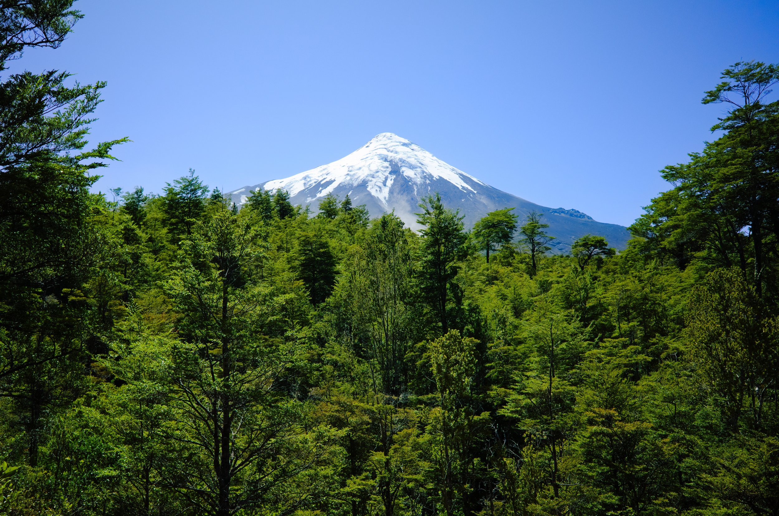 The Vineyards & Landscapes of Chile