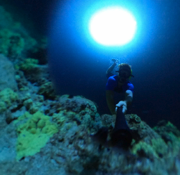 Underwater boat diver survey. Serving the marinas in Alameda (24 hours), Berkeley, Emeryville, Oakland, Richmond, San Francisco, Sausalito, and Treasure Island, California. 