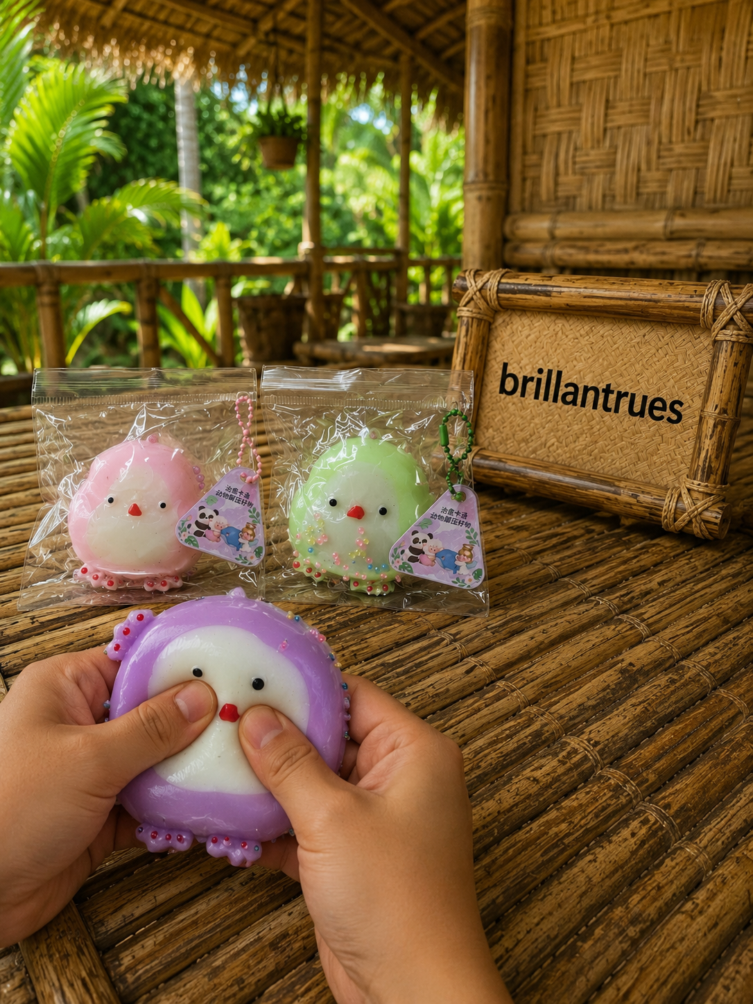 Squishy Birds.png