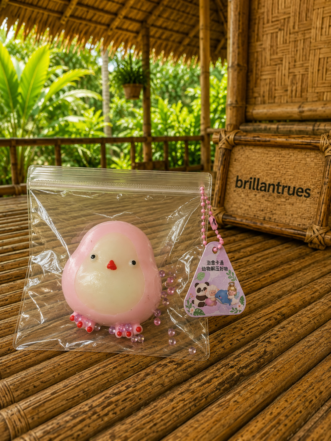Pink Squishy Bird.png