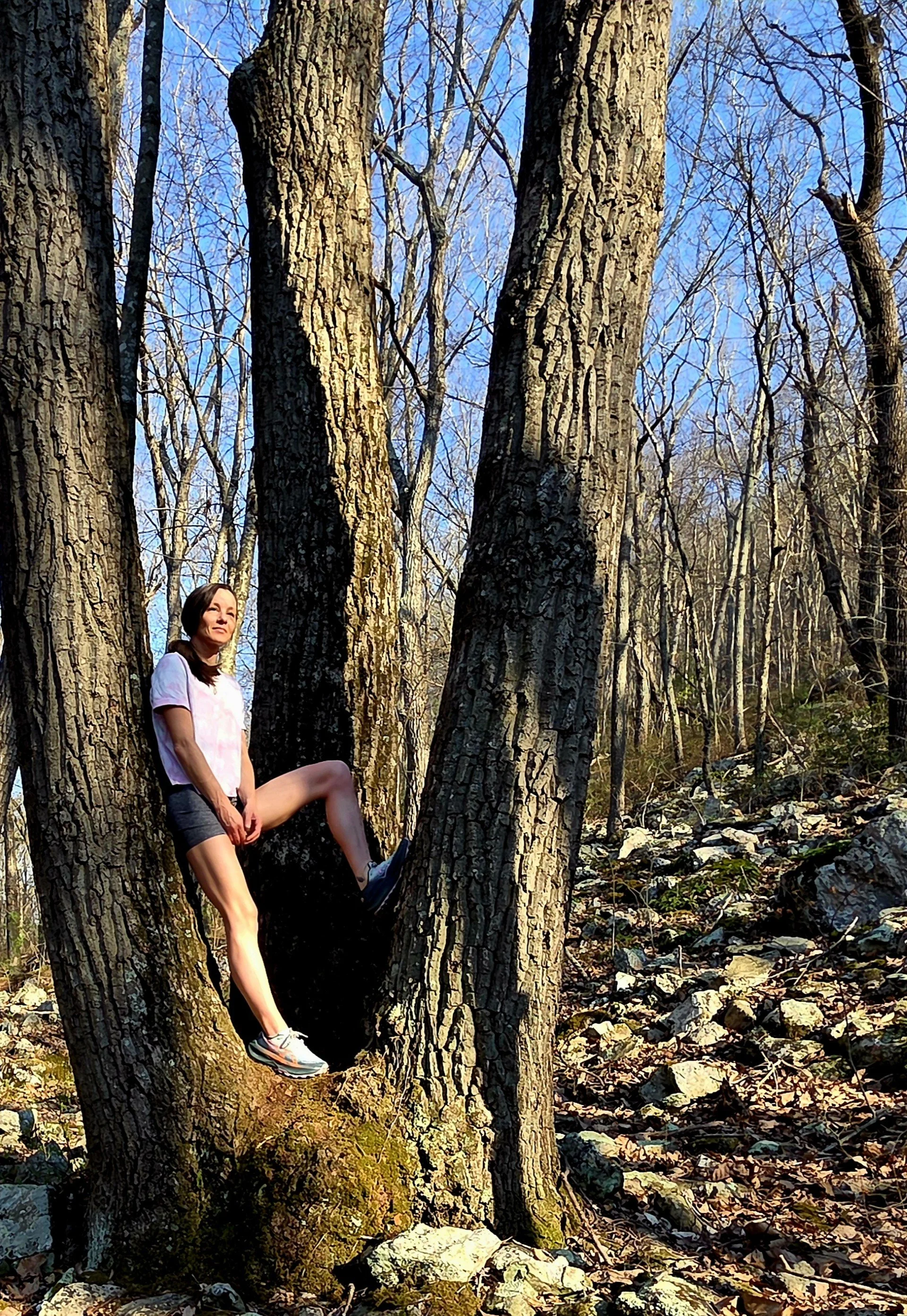 A woman in a pink shirt and shorts climbing a tree in a forest with bare trees, rocks, and a clear blue sky.