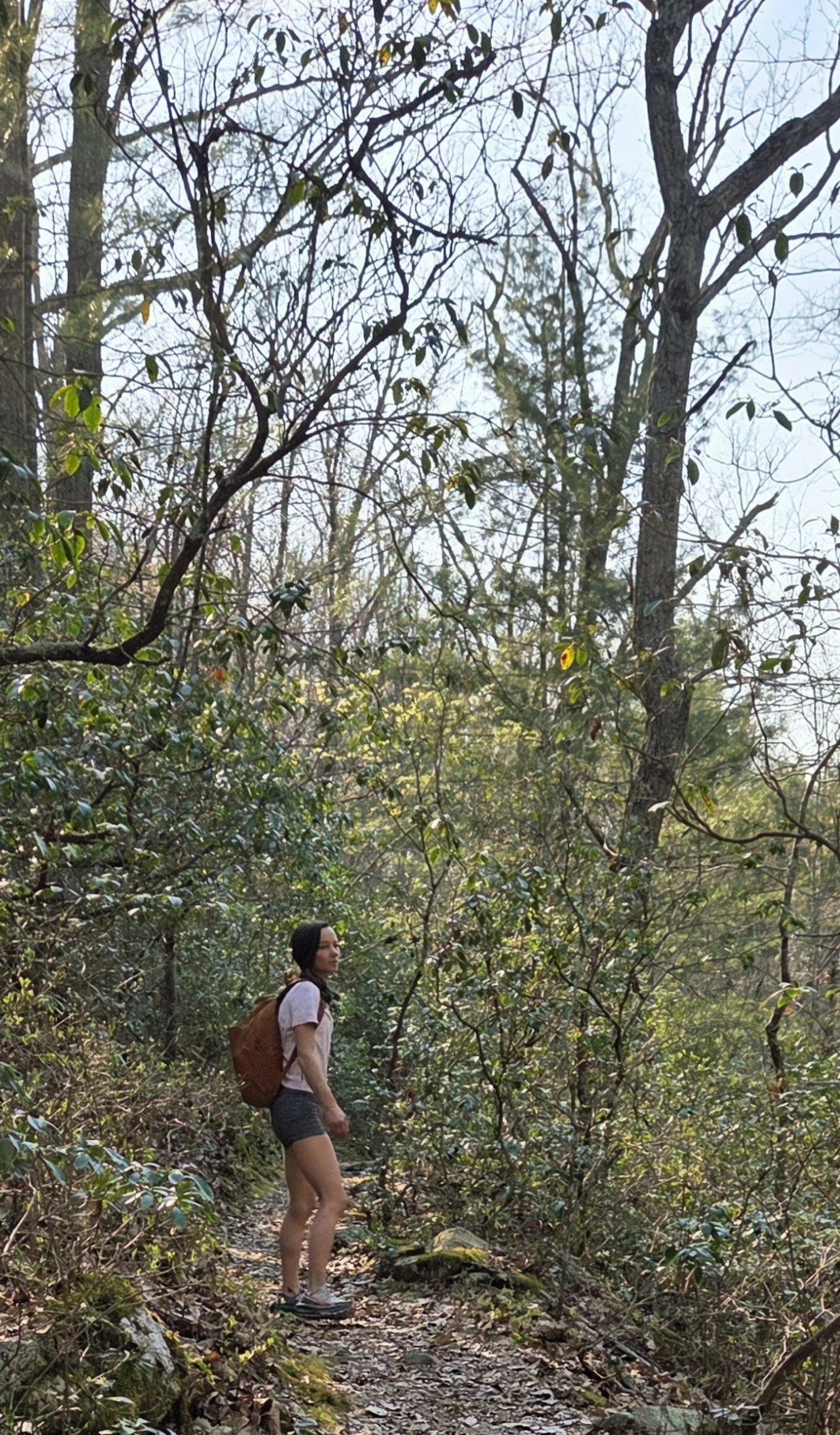 A woman with dark hair, wearing a light pink shirt, dark shorts, and hiking shoes, carrying a brown backpack, walking on a narrow trail in a forest with leafless and green trees.
