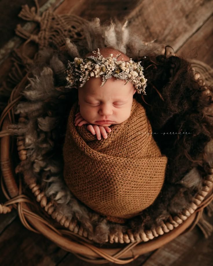 Newborn Photography session
