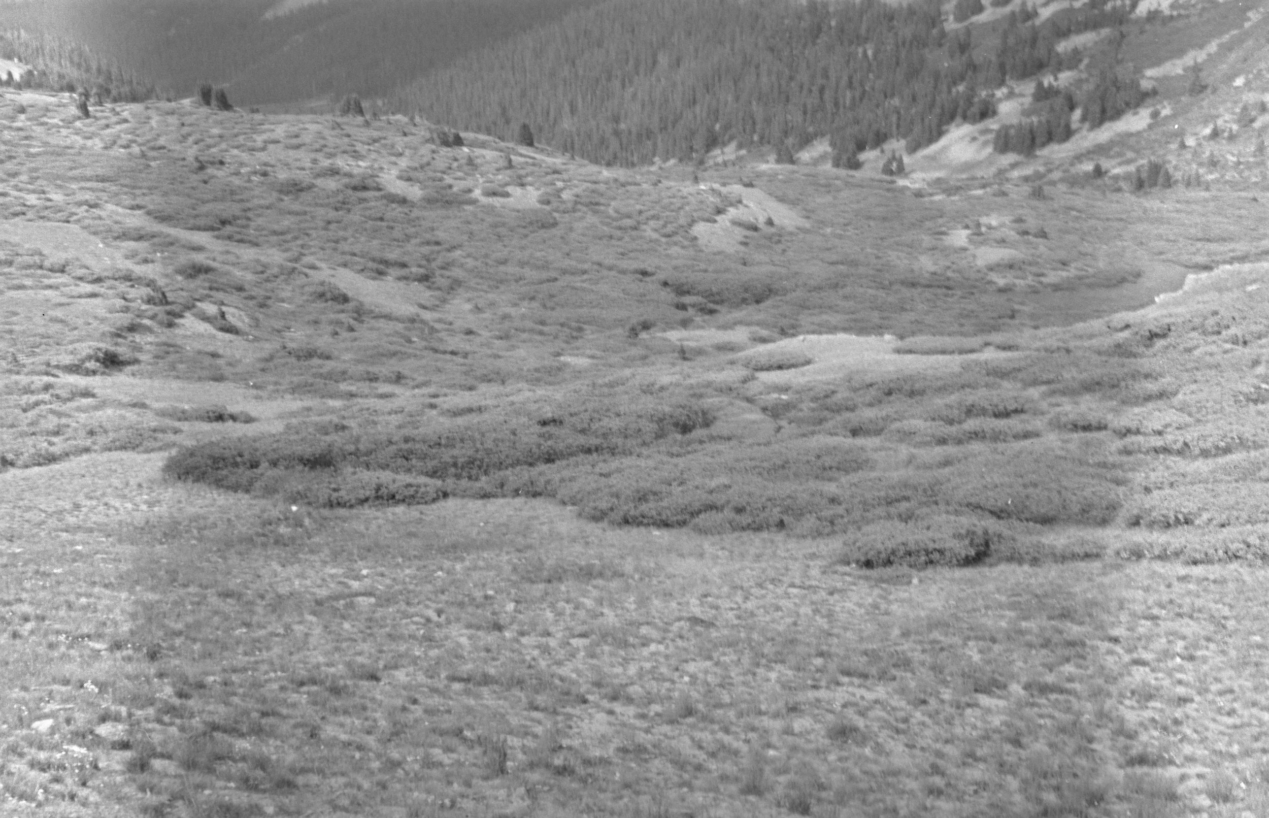 Loveland Pass
Camera: Zeiss Ikon Ikonta 523/2
Film: Kentmere Pan
Speed: 400
Size: 120
Format: 6x9