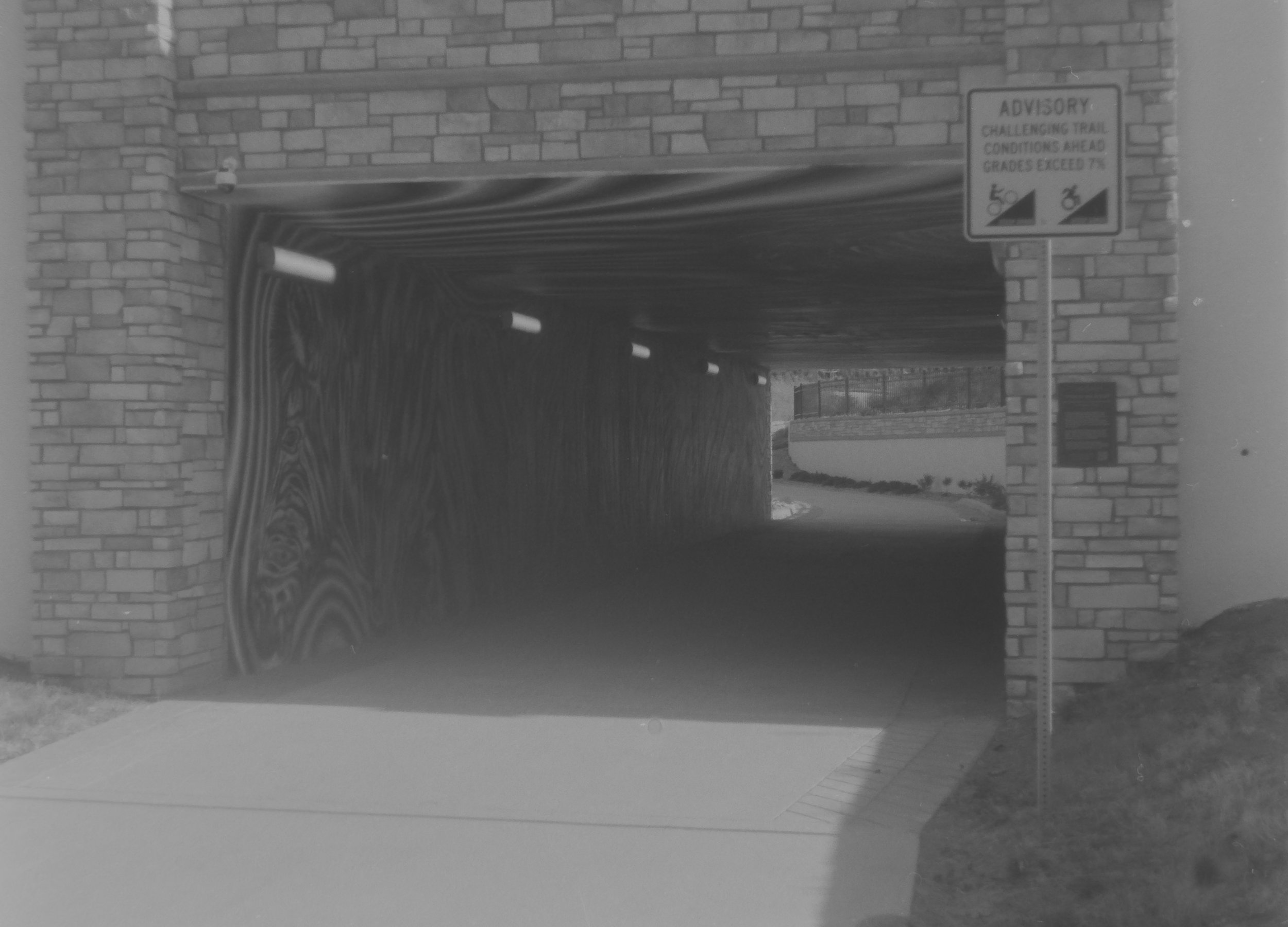 Don't Let Me Go - Tiger
Olivia Steele
Camera: Canon A-1
Film: Kentmere Pan
Speed: 200
Size: 135
Format: Full Frame