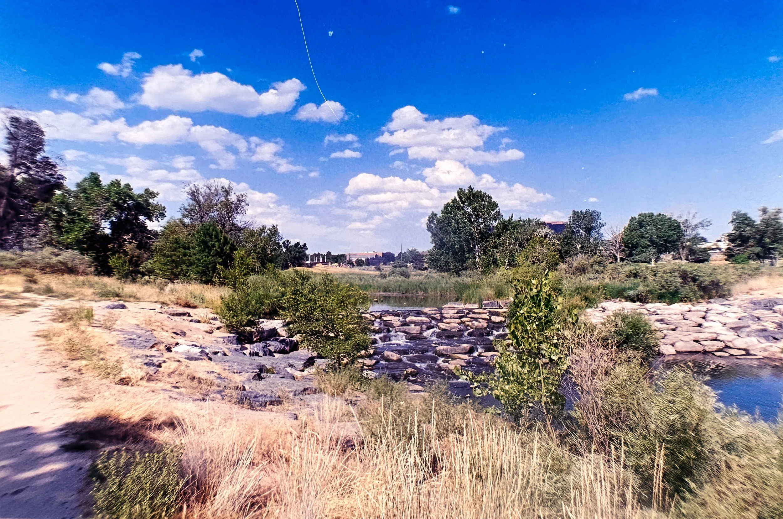 Paul A Hentzell Park
Camera: Canon A-1
Film: Kodak UltraMax
Speed: 400
Size: 135
Format: Full Frame