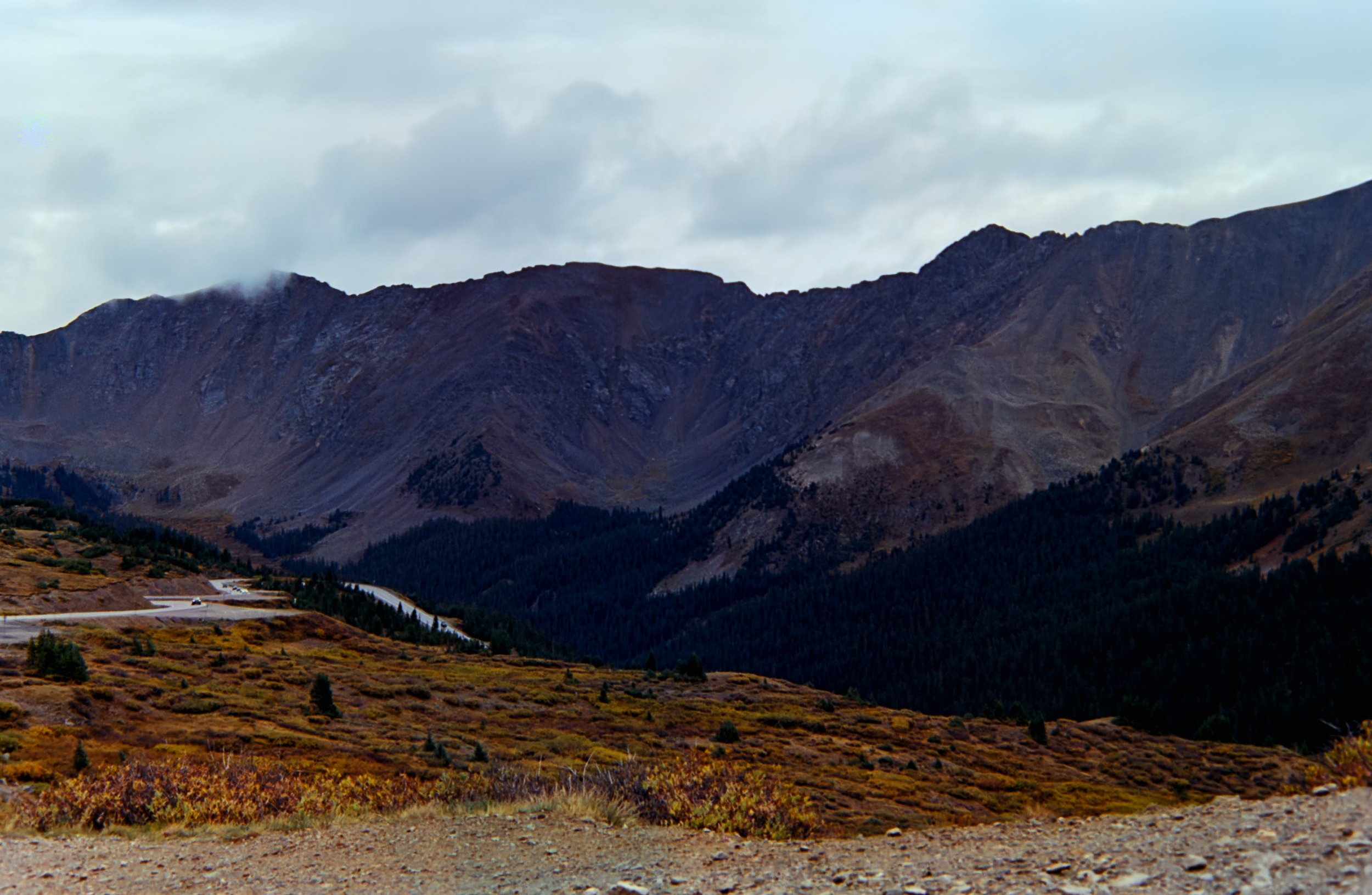 IMG_7200.jpg