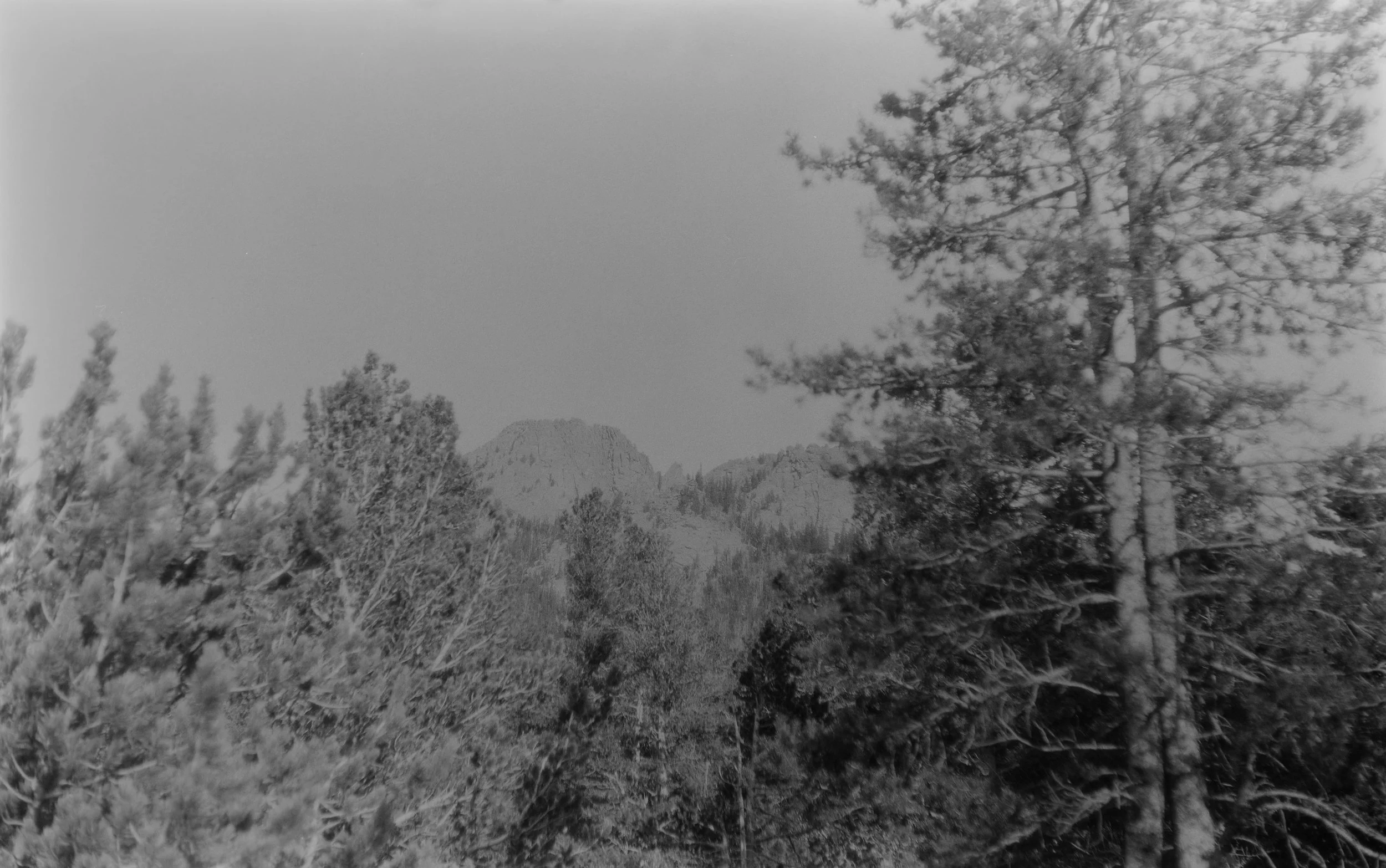 Panorama Point
Camera: Zeiss Ikon Ikonta 523/2
Film: FPP X-Ray 
Speed: 100
Size: 120
Format: 6x9