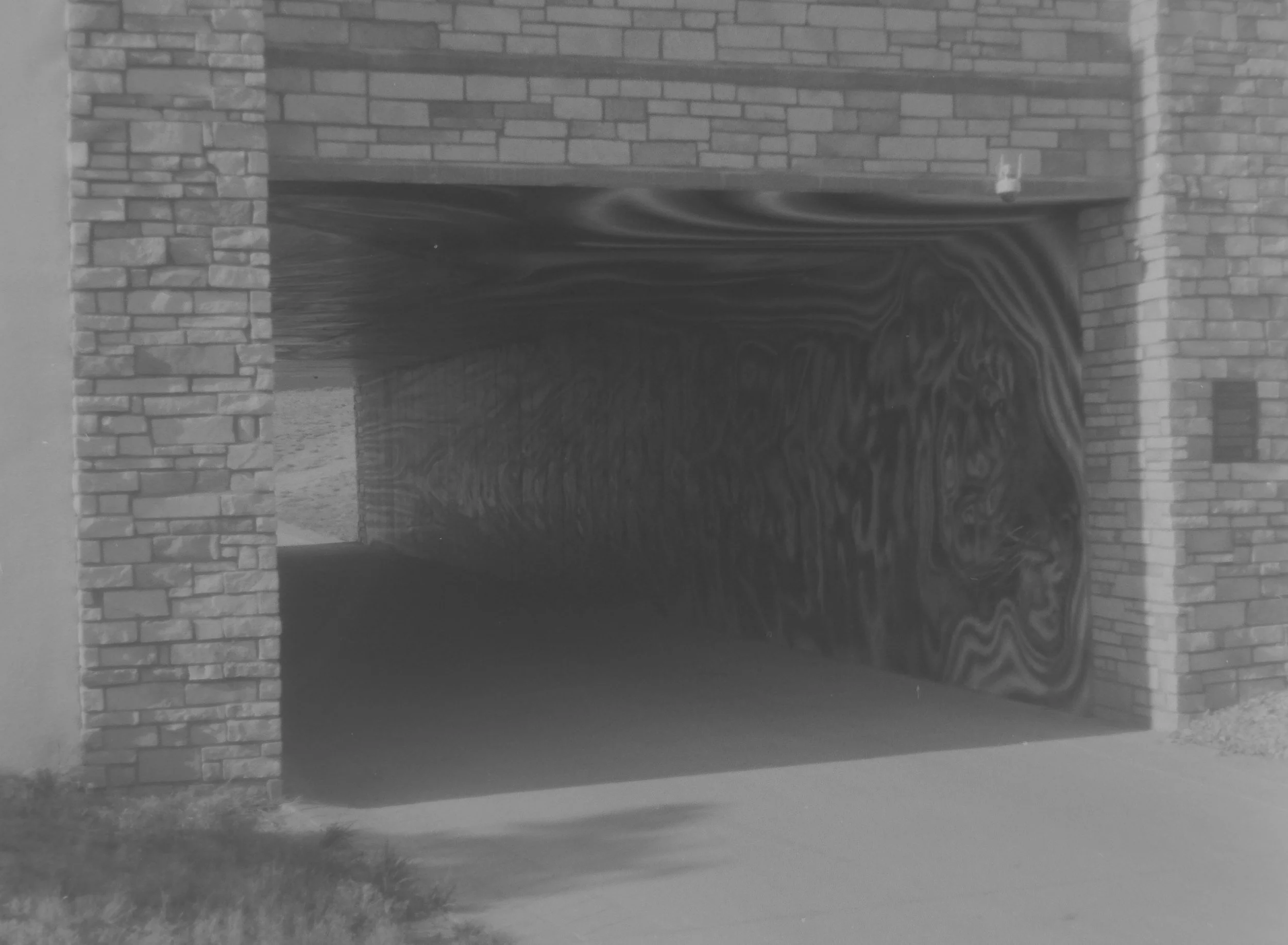 Don't Let Me Go - Tiger
Olivia Steele
Camera: Canon A-1
Film: Kentmere Pan
Speed: 200
Size: 135
Format: Full Frame